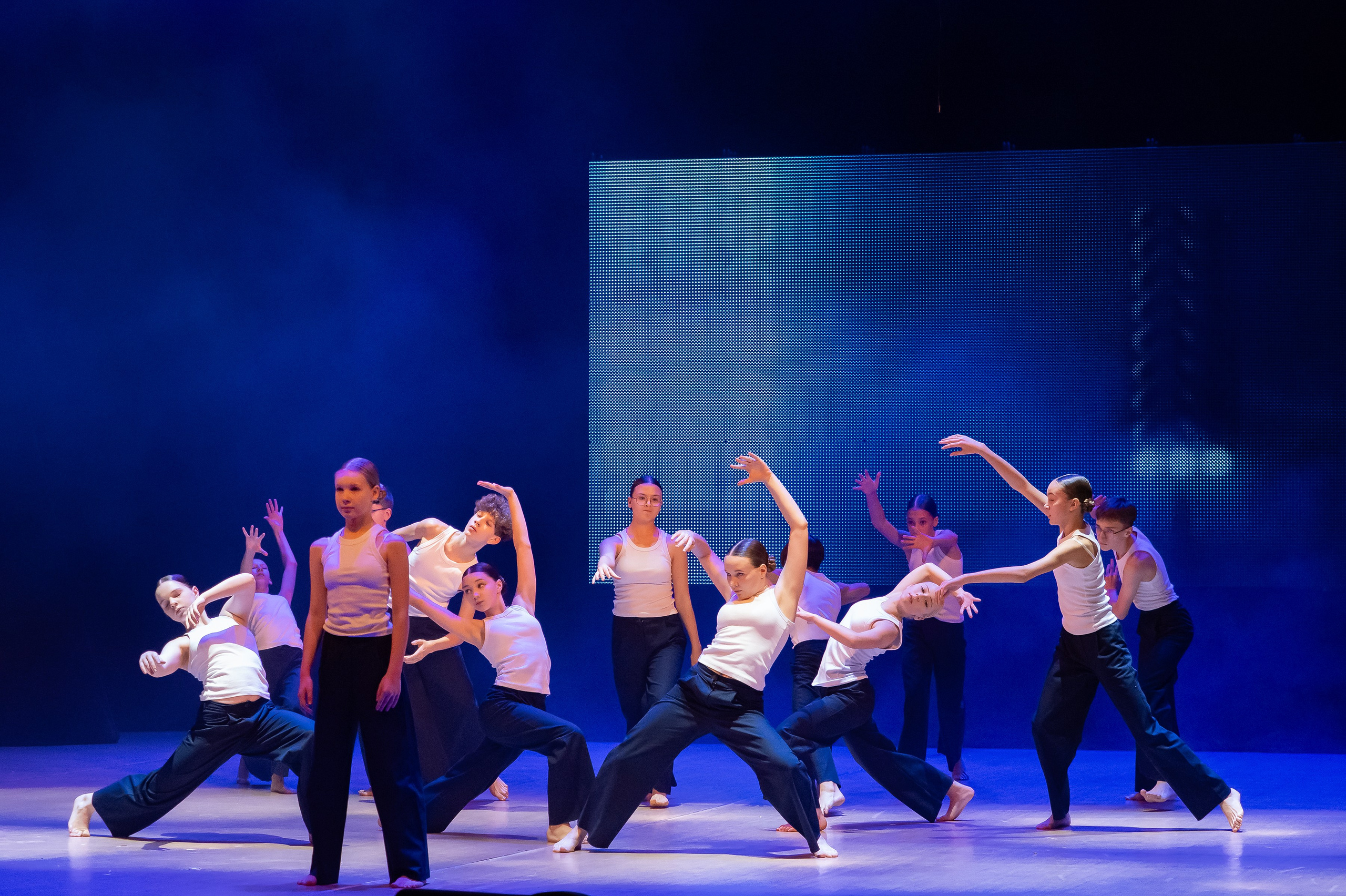 Концерт «Пространные танцы». Репортажный, семейный и детский фотограф в Пензе и Заречном Арина Ермилова. Картины барельеф на заказ