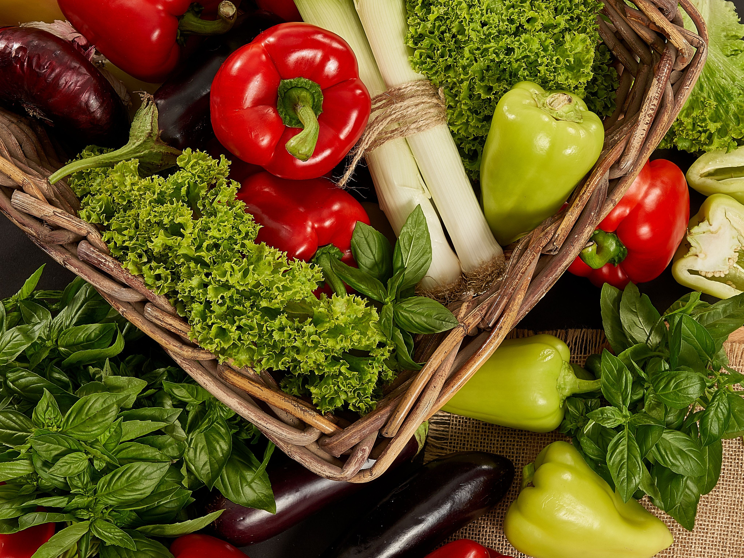 Without PROCESSING. Max Matvich and Victoria Basova are professionals in their field