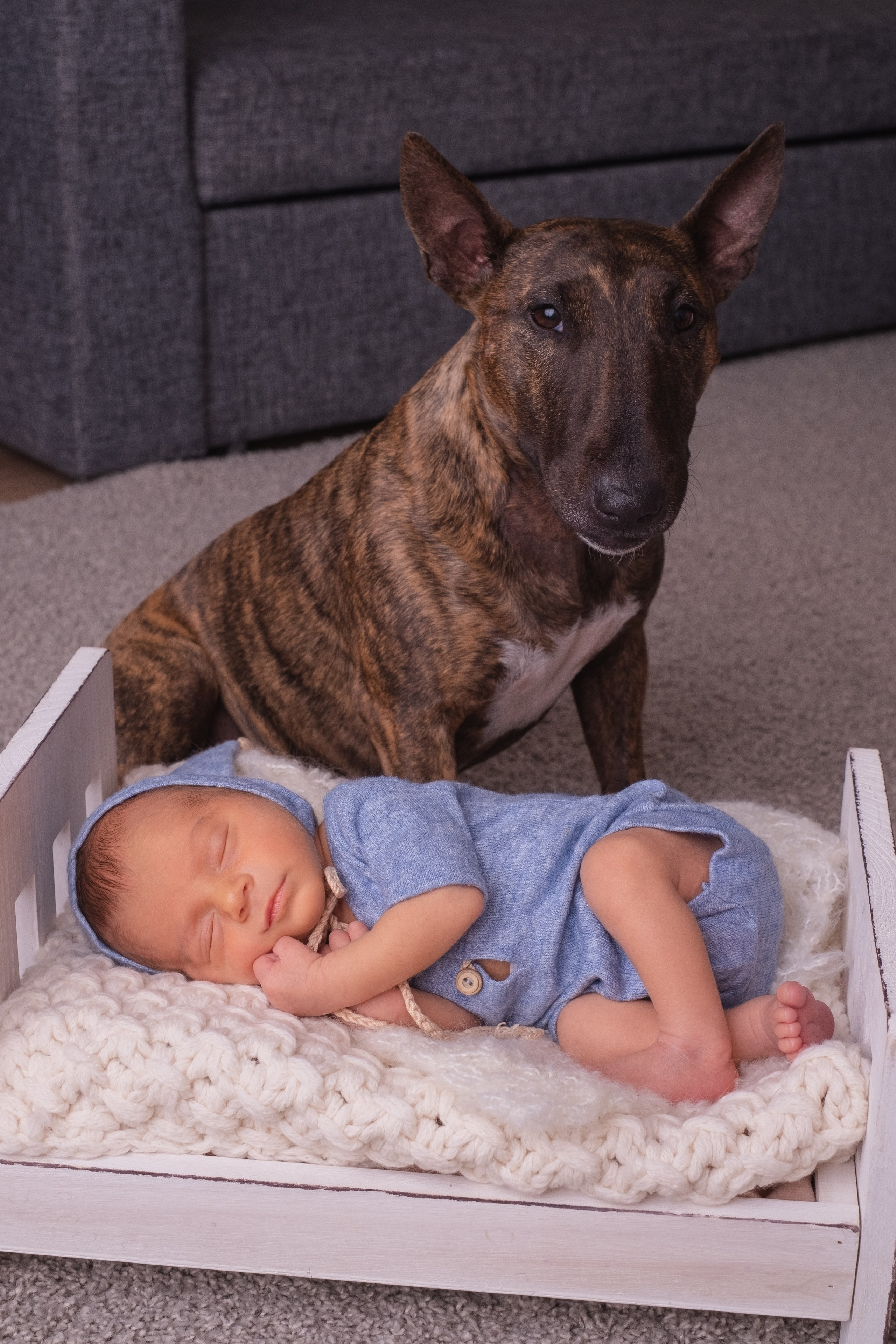 Newborn. Семейный детский ньюборн фотограф в Москве Марта Петрова