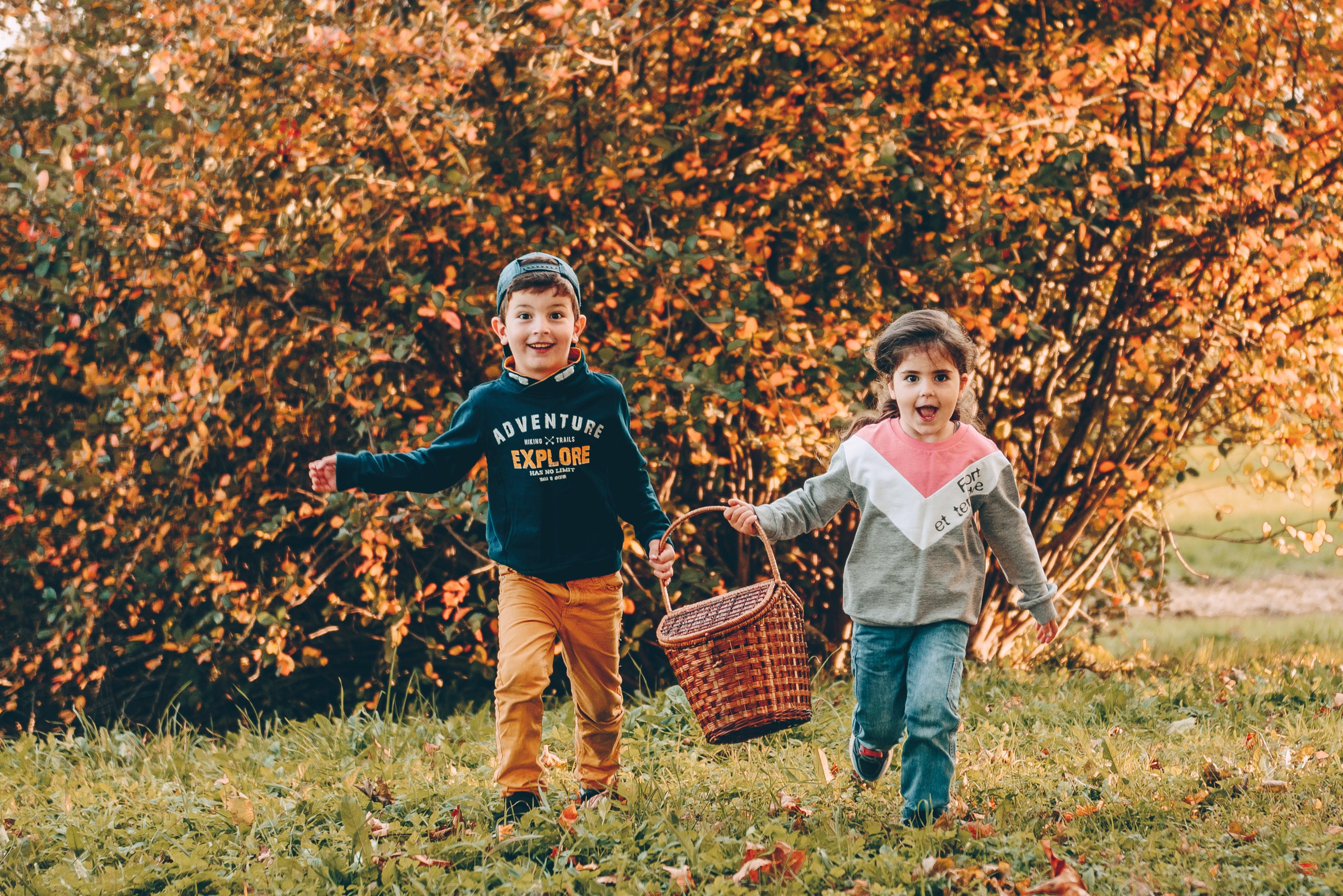 Золотая осень, парки, любовь. Свадебный и семейный фотограф София Невская