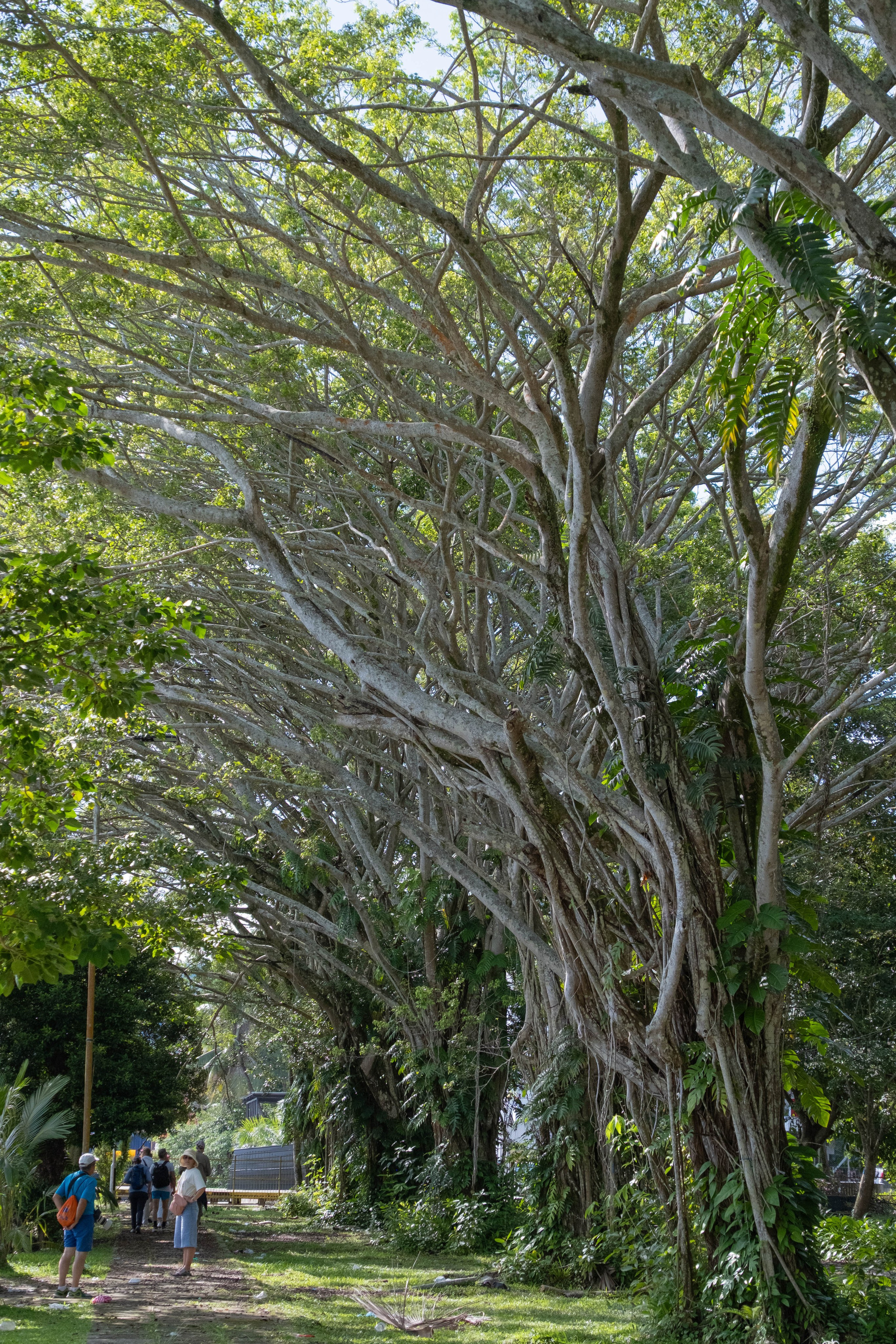 Остров Борнео, город Сандакан. Рыбацкая деревня и дорога к ней. Фотографии из путешествий