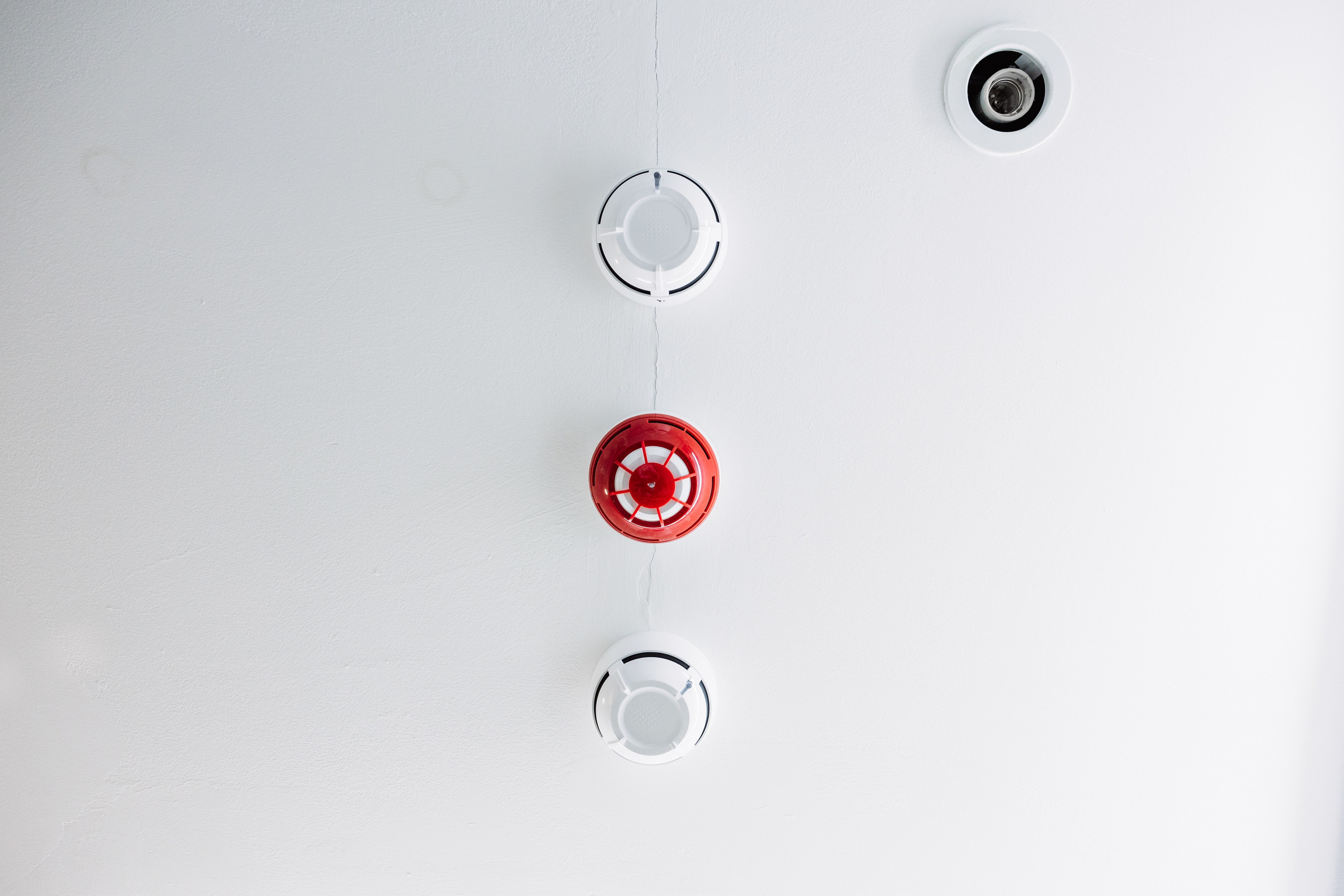 ЧЕБ И РЕК | РИО. ФОТОГРАФ ИРИНА ШАМАТАВА