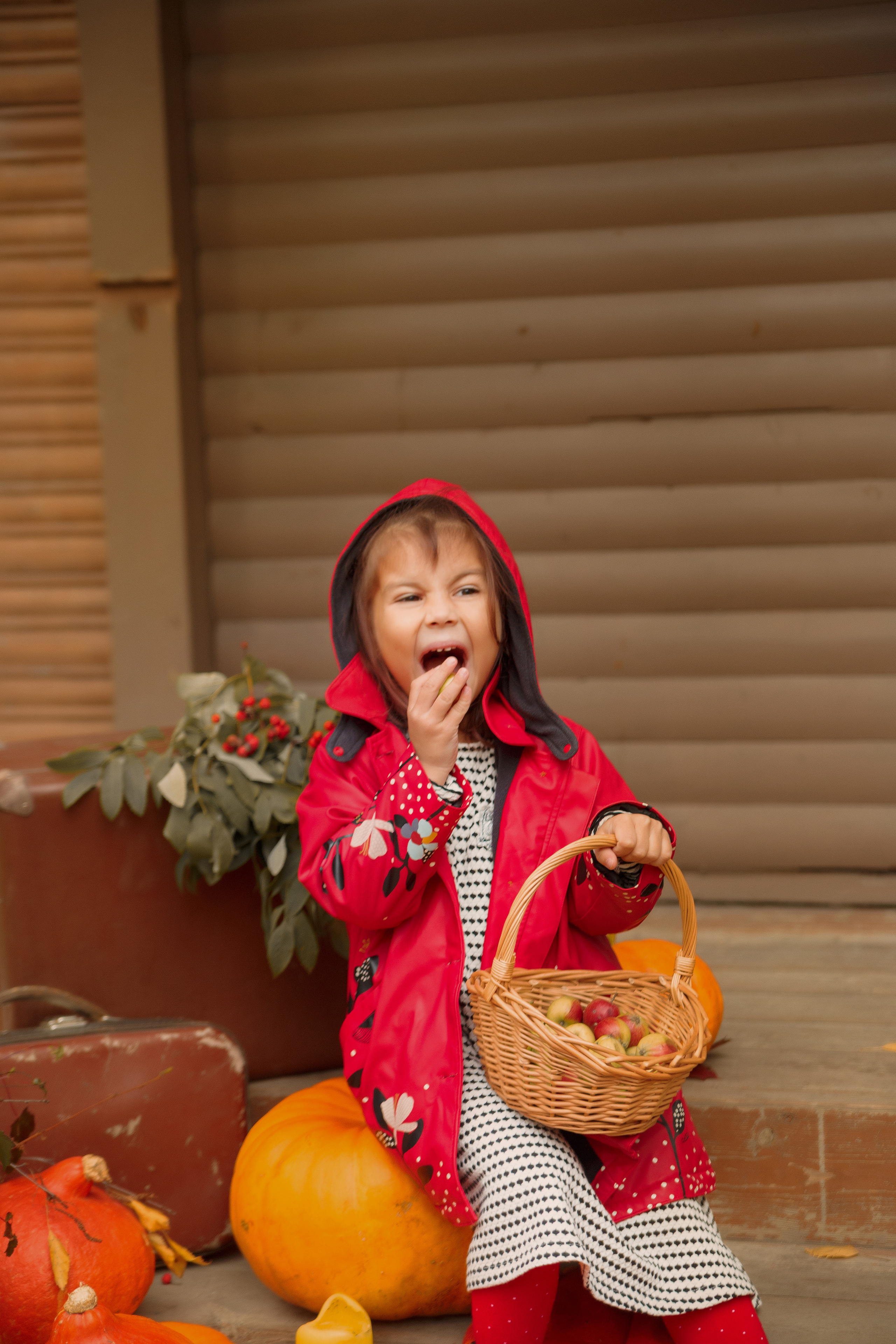 Фотопроект "Тыковки"