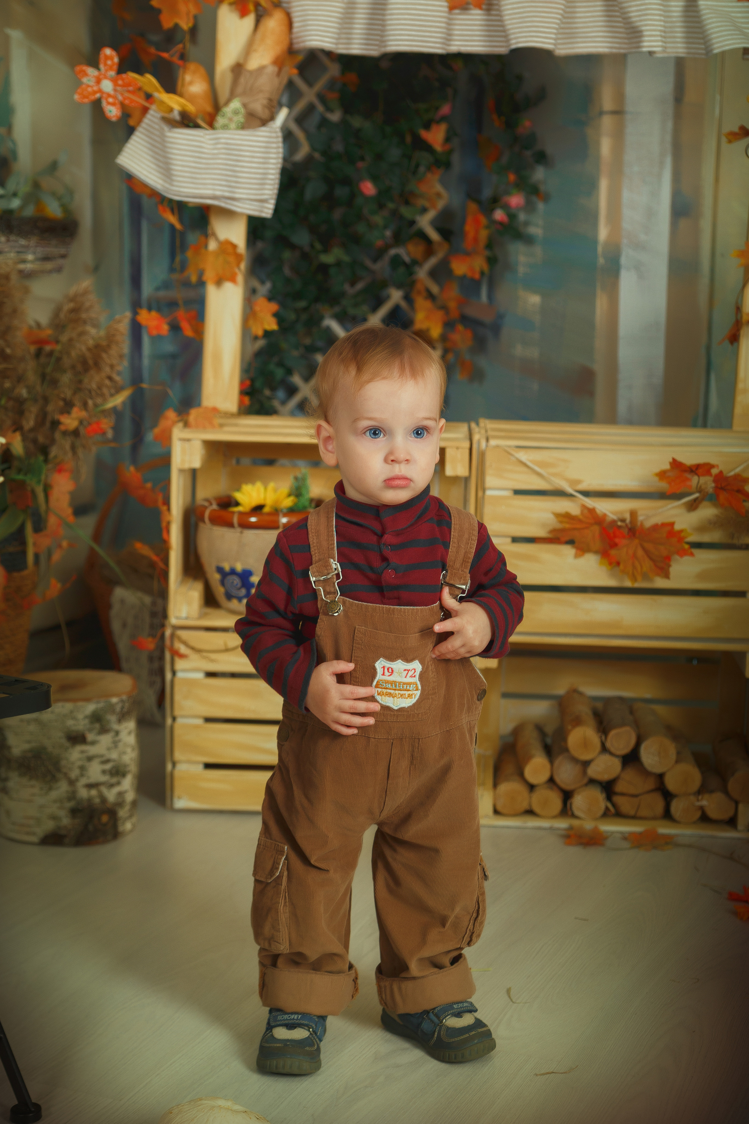 Фотопроект "Тыковки" студия