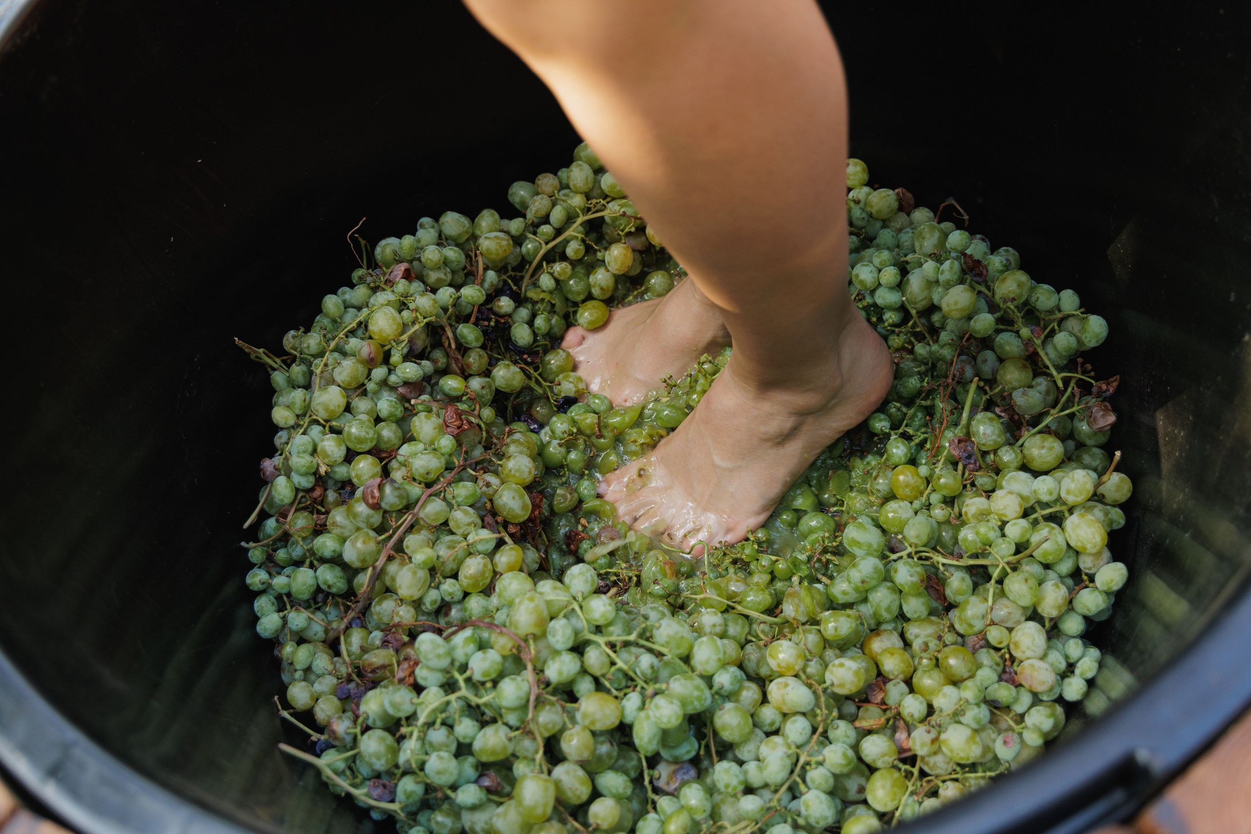 День Рождения. Aleksantis