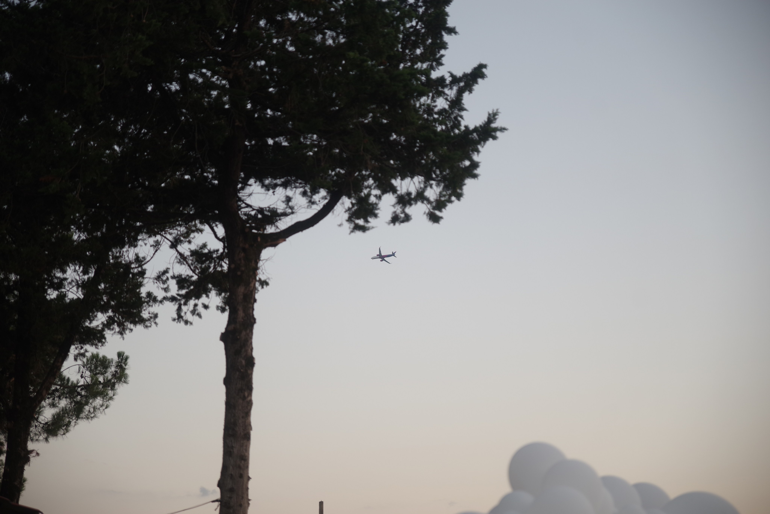 Гендерная вечеринка в Кутаиси. Портретный фотограф Денис Милютин
