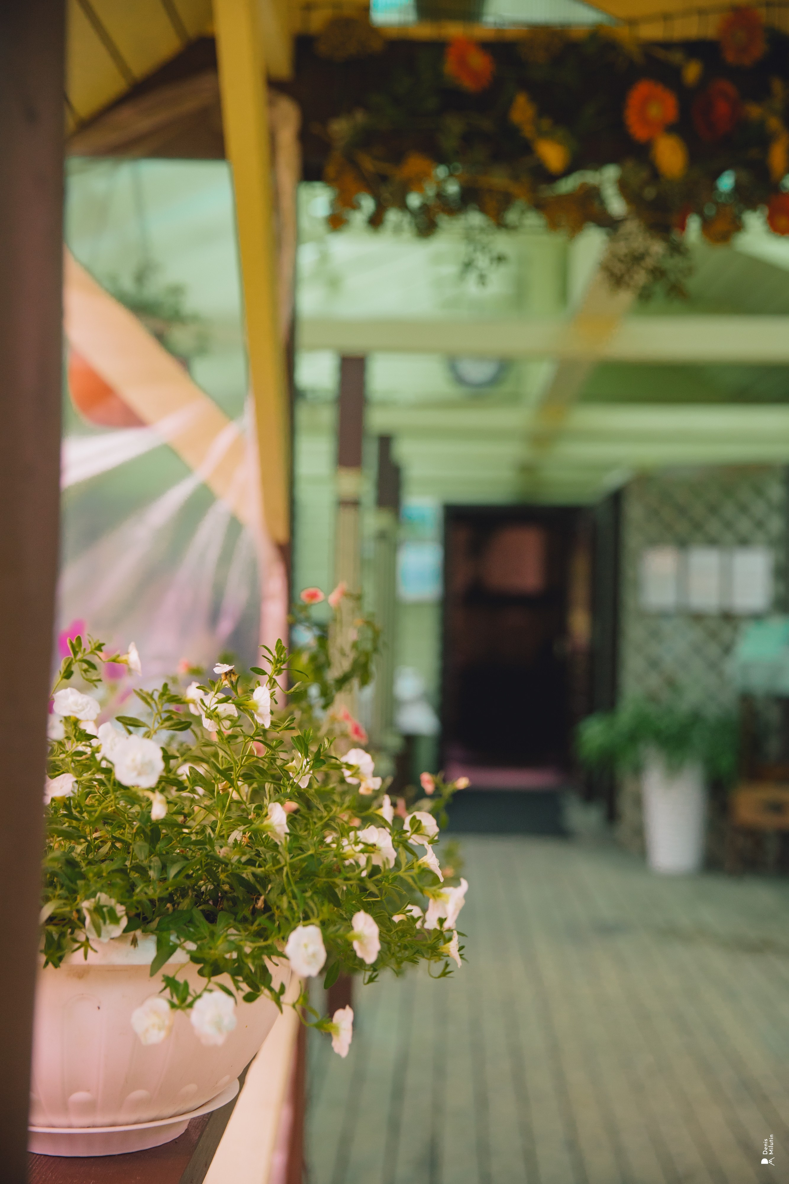 Женский Митрофаниевский скит Важеозерского мужского монастыря. Портретный фотограф Денис Милютин