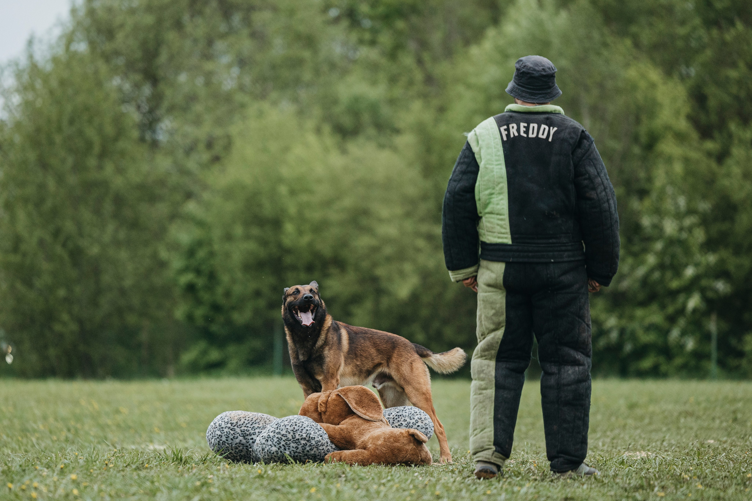 26.05.25 г. Пушкин квалификационные соревнования. Фотограф-анималист Анна Маринич