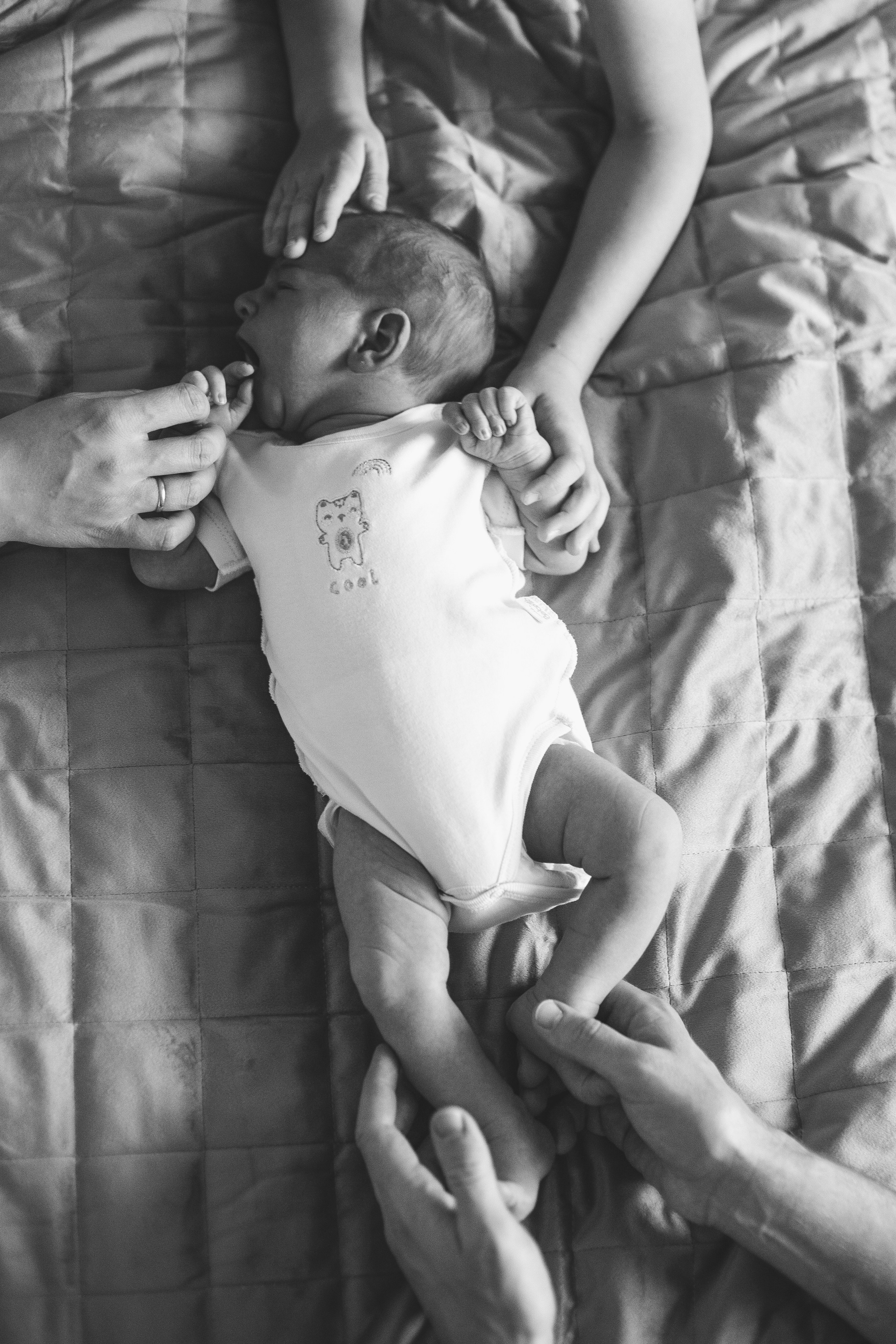 4. Семейный, детский, женский, свадебный фотограф в Ростове-на-Дону Васильчикова Юлия