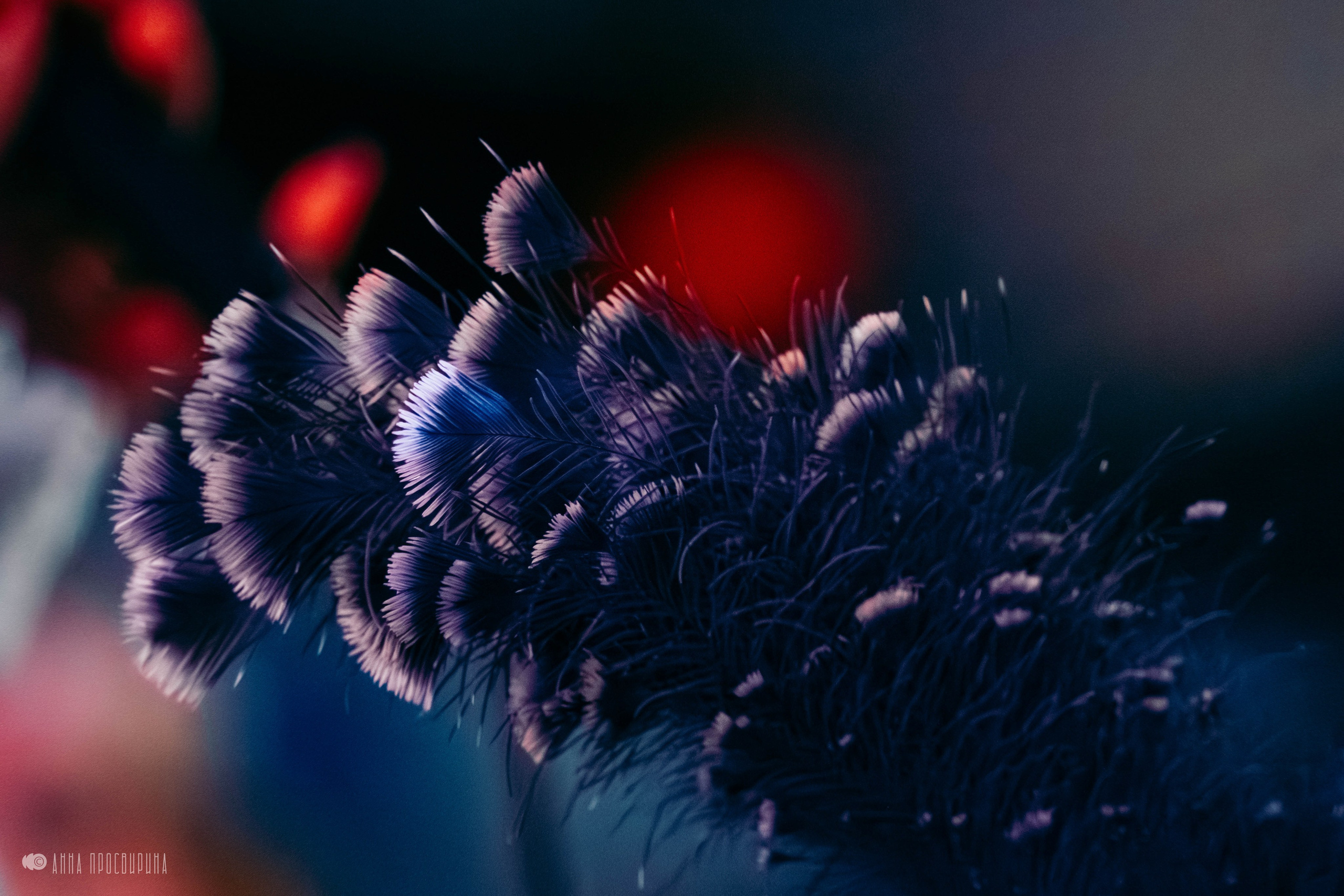 Новогодний корпоратив в вампирском стиле, ID Home. Ваш фотограф в Санкт-Петербурге Анна Просвирина