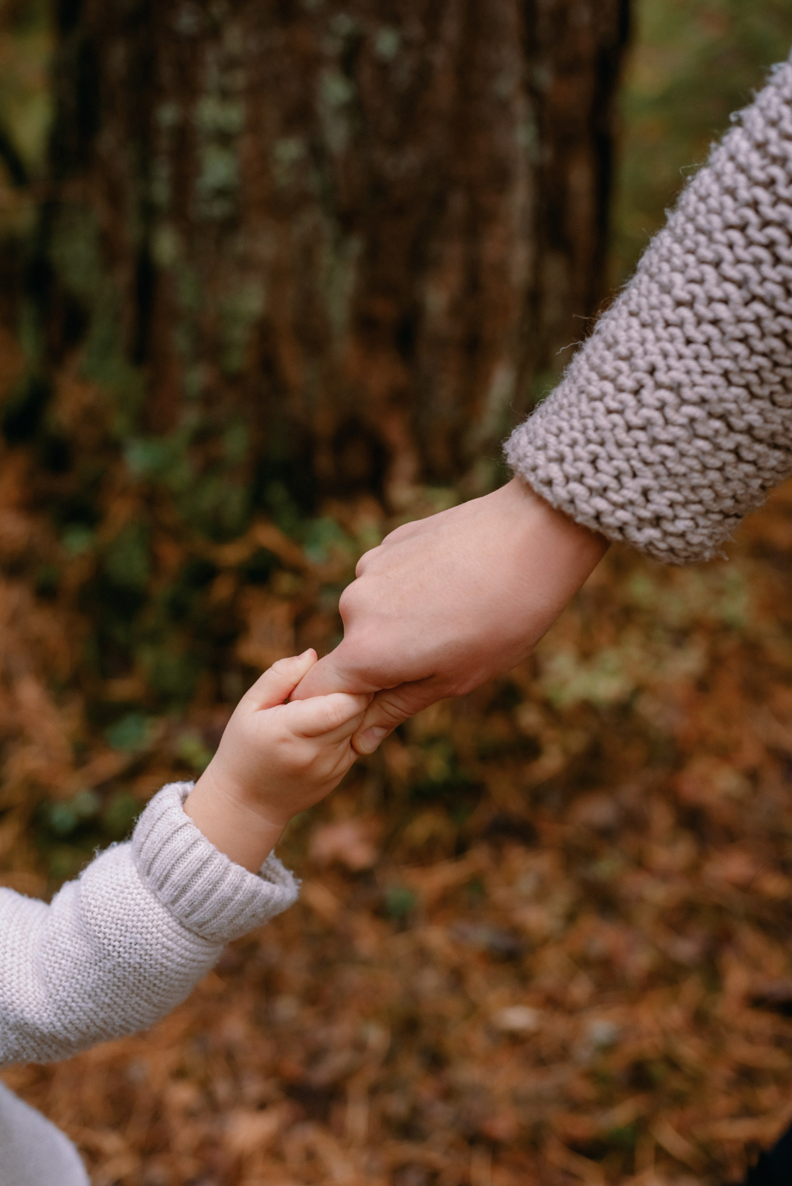 Фотосессия в лесу. Фотограф Юлия Кондратьева