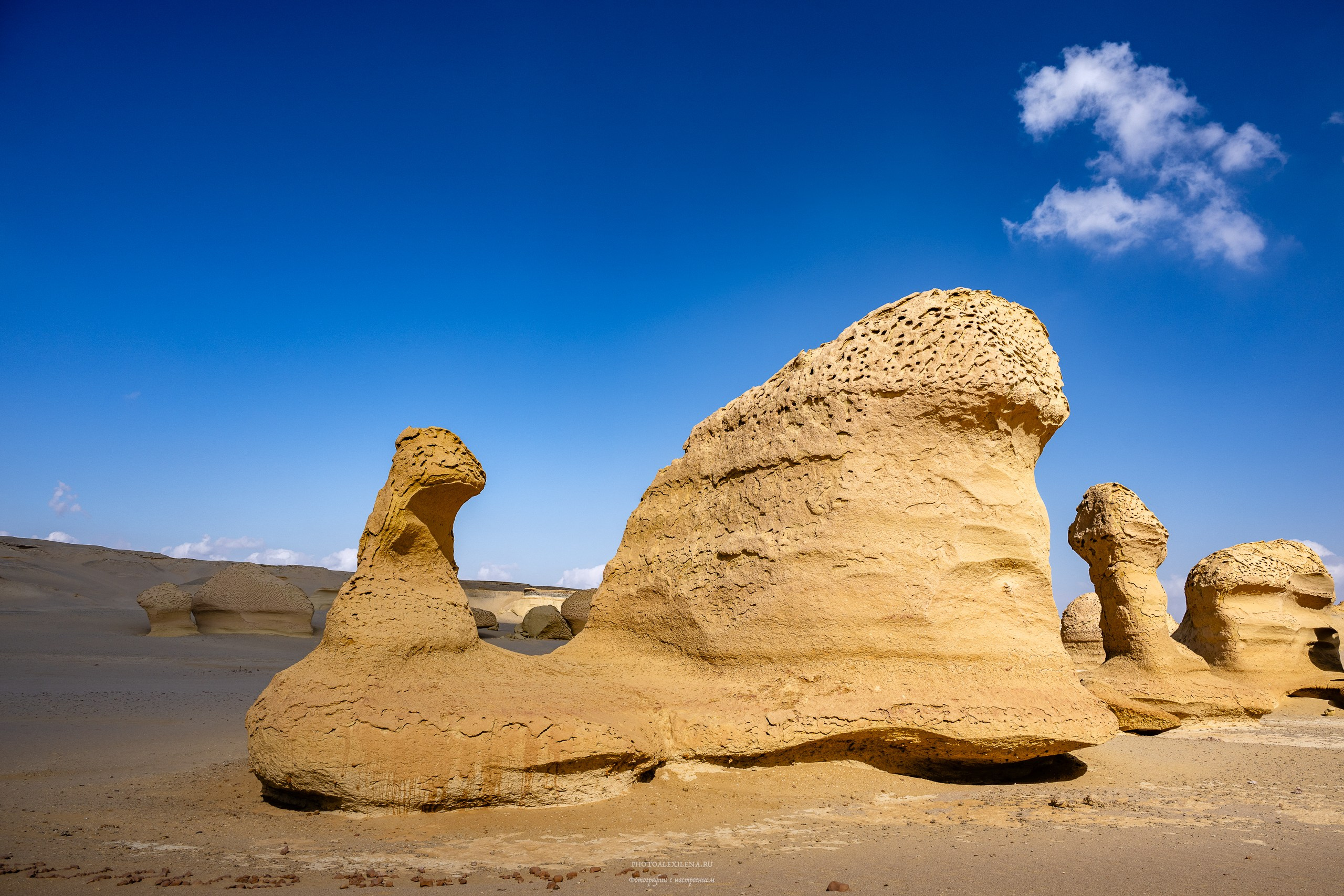 Снова в пустыню, за скелетами…. Авторские стильные фотокартины