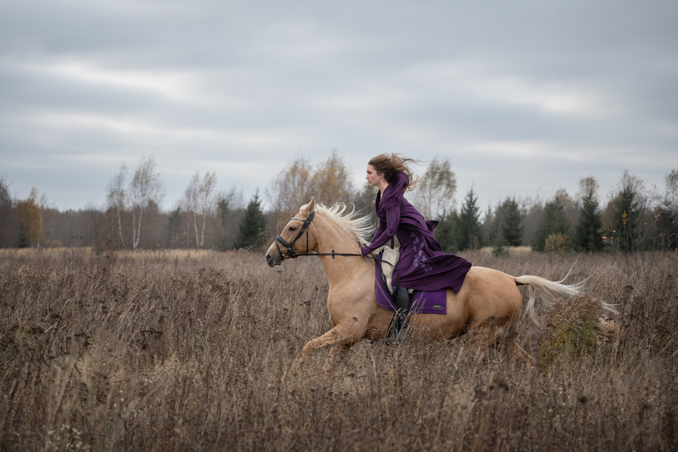 Фотосъёмка лошадей. Семейный и анималист фотограф в Переславле Анастасия Гусева