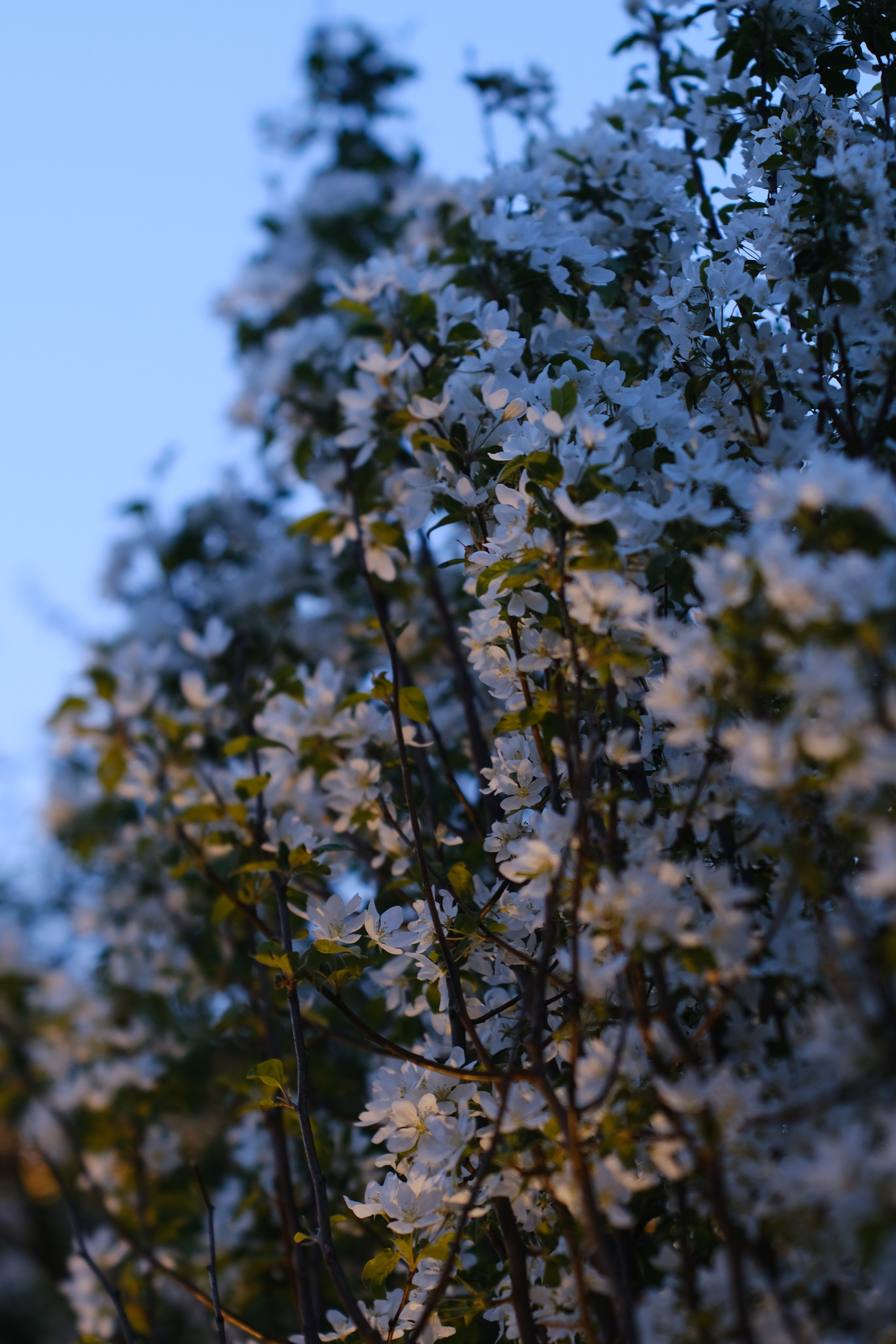 Художественные фото. Креативный фотограф в Москве Арапова Виталия