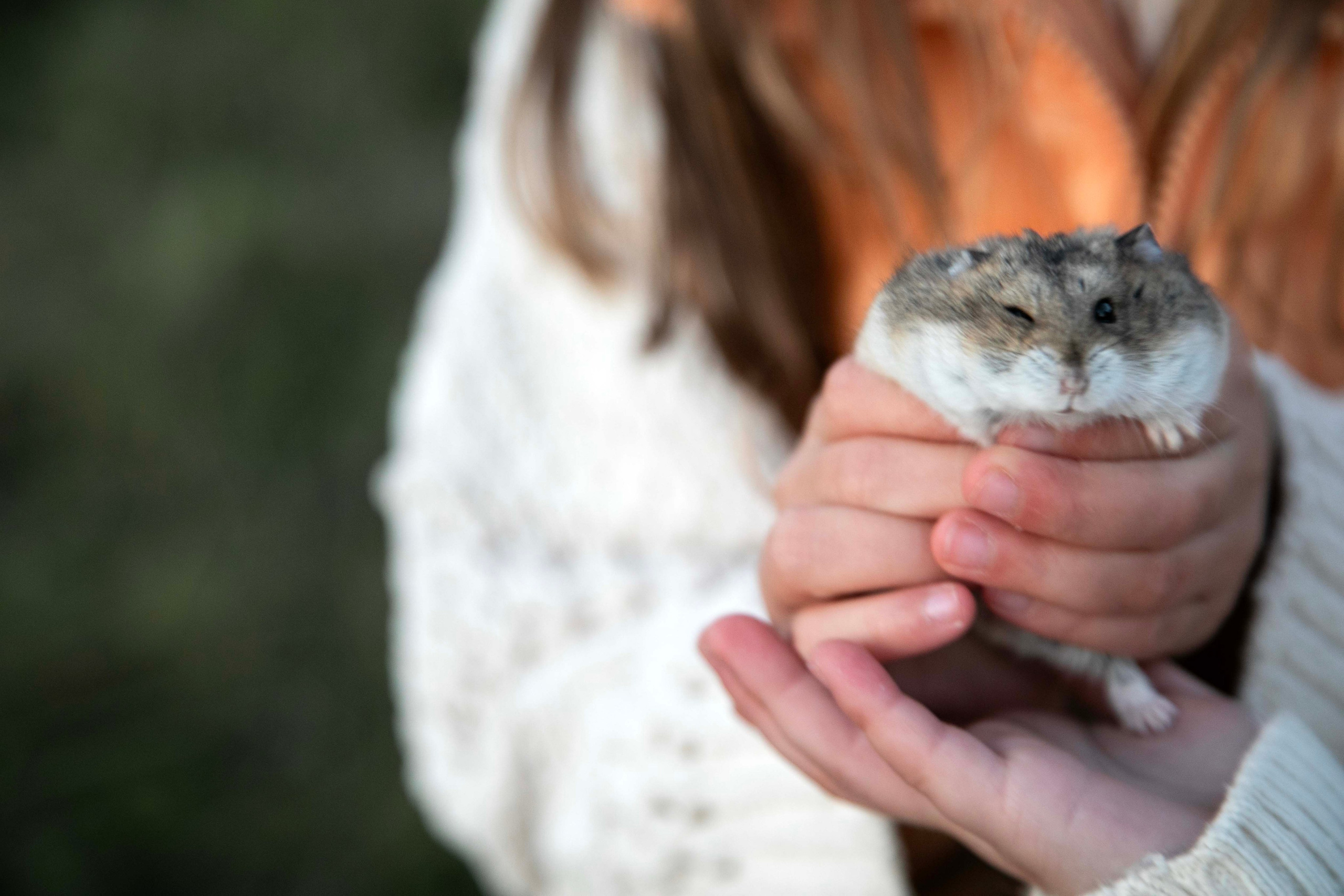 С хомяком. Семейный и детский фотограф в Санкт-Петербург. Natalia Fadel