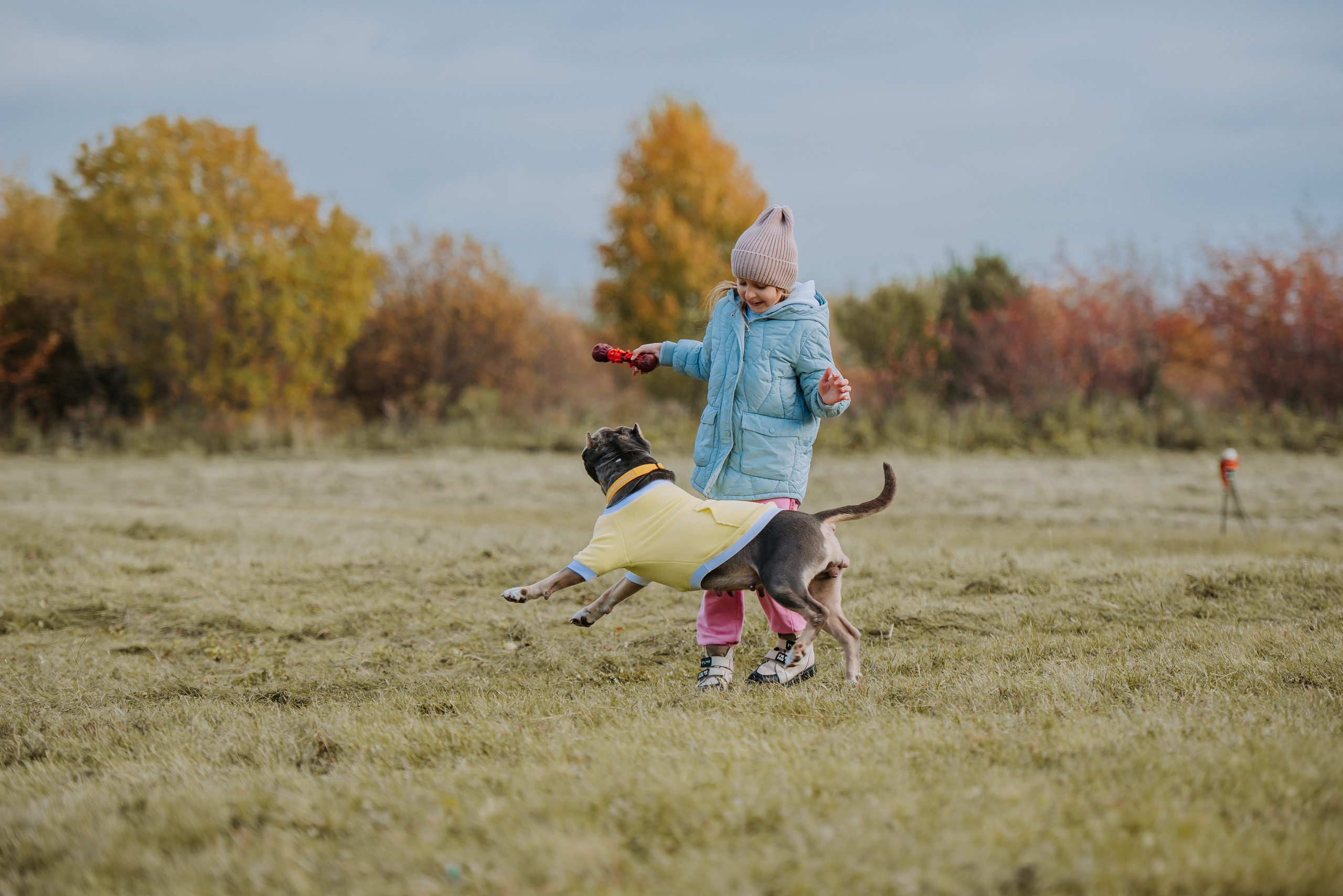 Фотопрогулка с питомцами. Фотограф Диана Оленина Красноярск / Братск