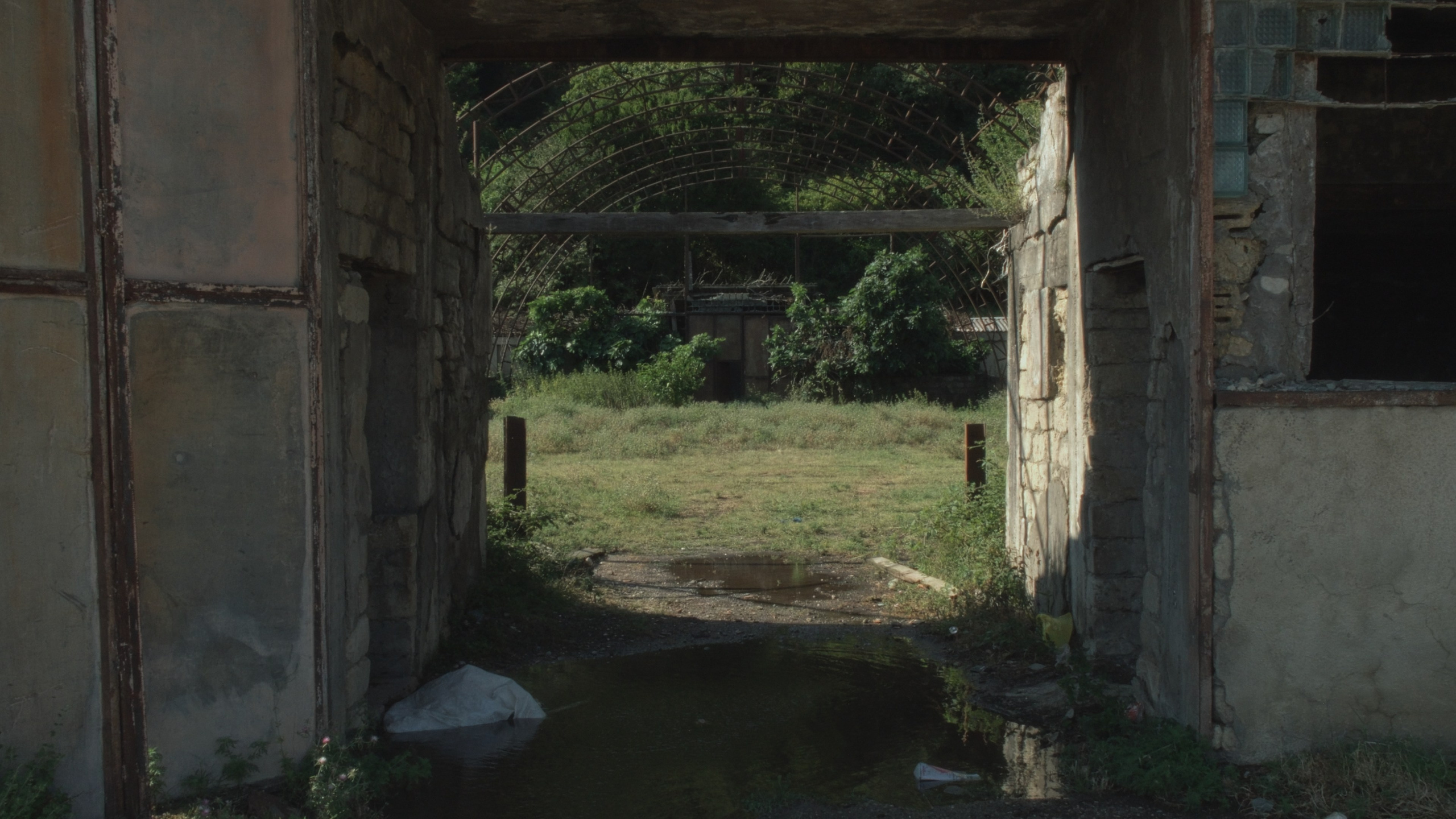 Абхазские скачки. Главная