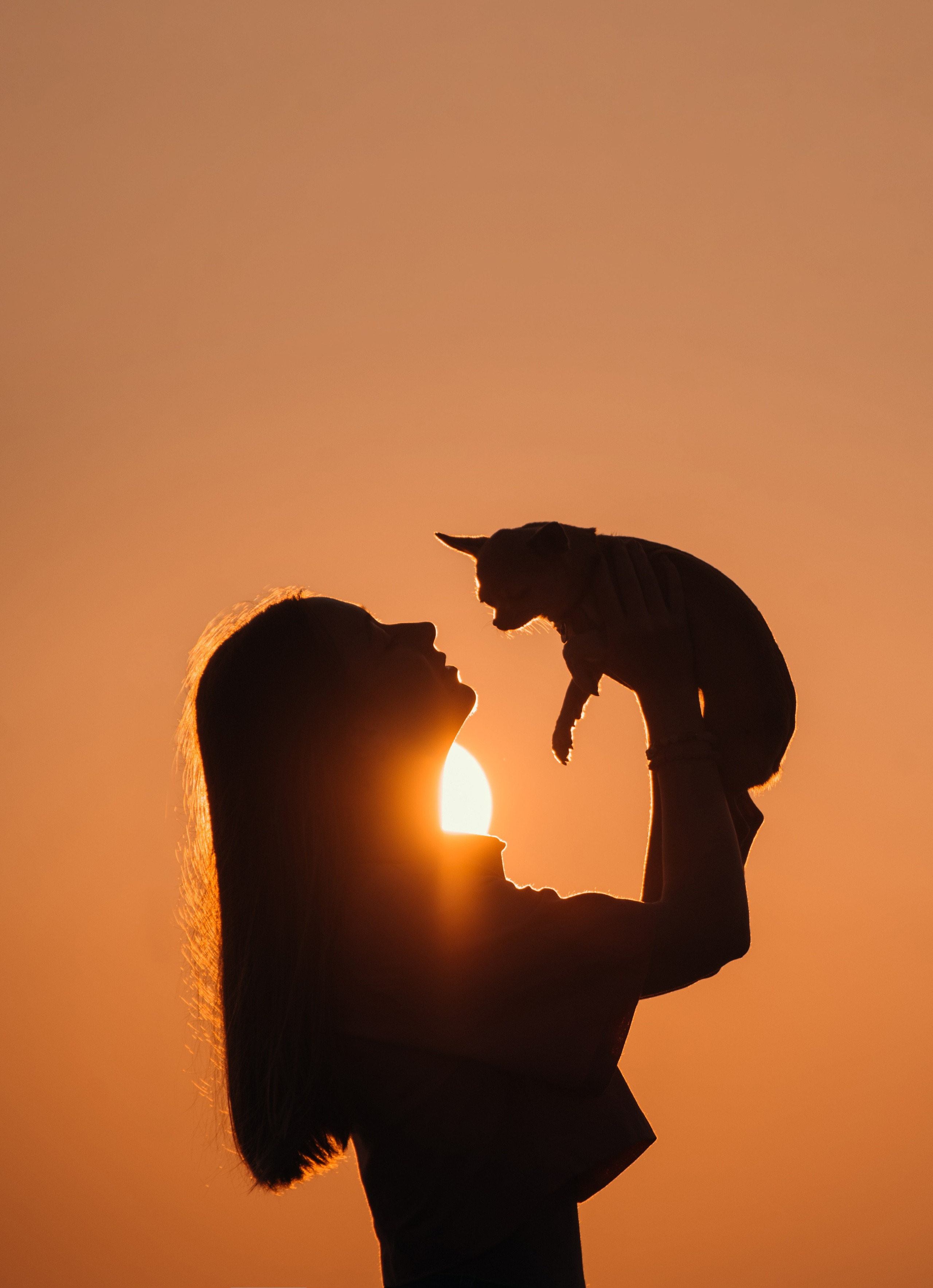 Прогулка: чихуахуа Хенни и Алина во Владивостоке. Портфолио