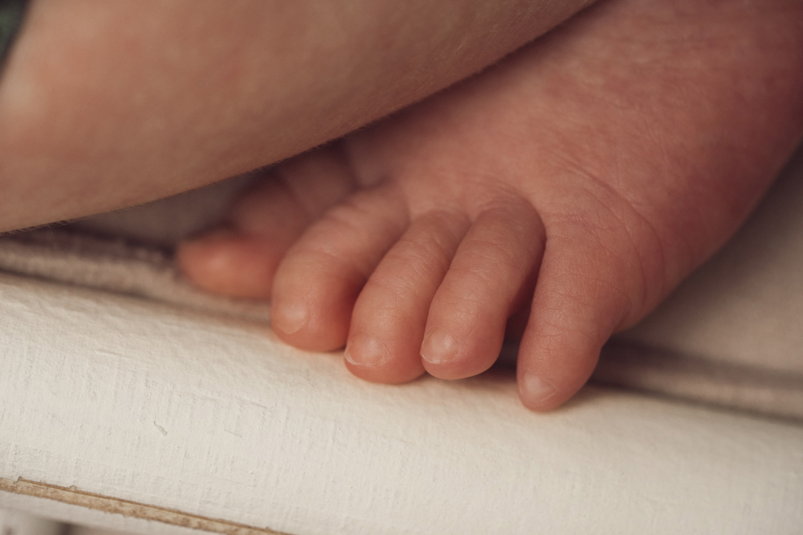 Newborn. Фотограф новорожденных в Москве, Зеленограде, МО, Дмитриева Дарья