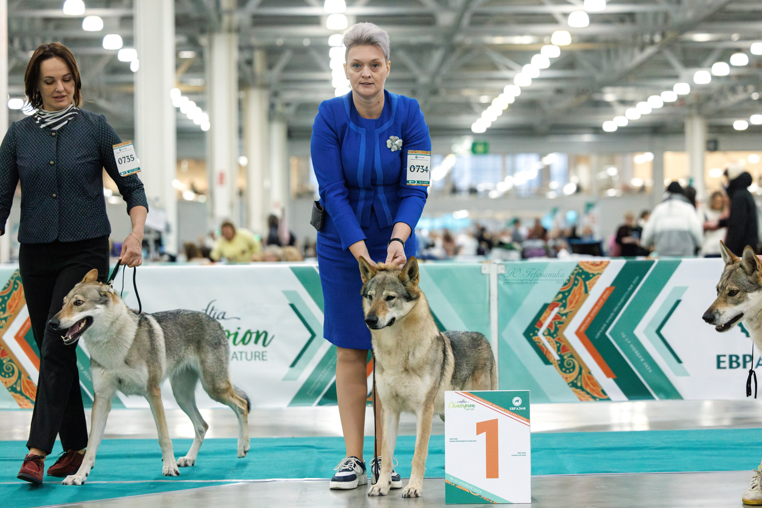 Евразия 16-17.11.2024. Фотограф-анималист Юлия Германика