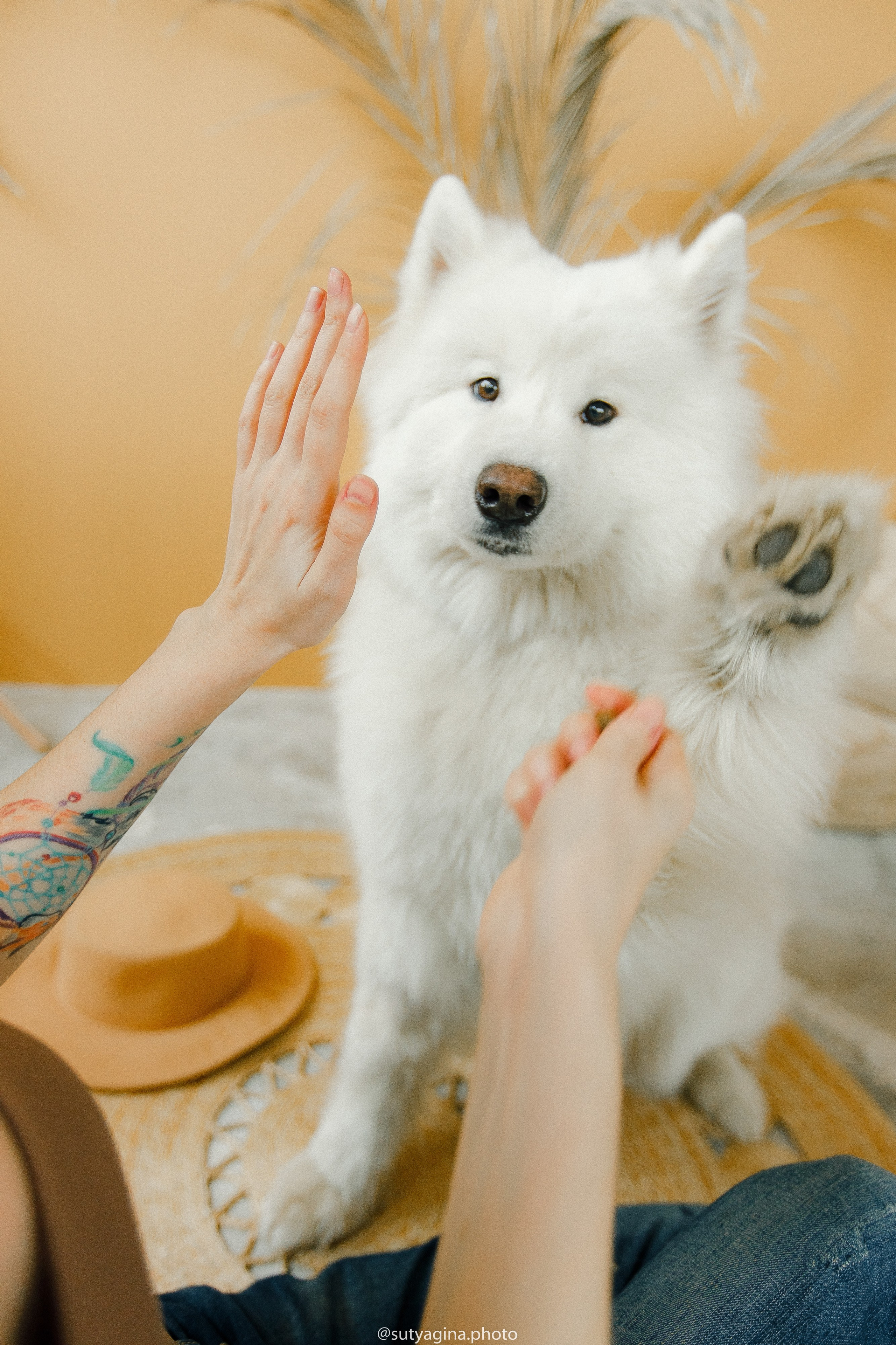 Самоед Мартин. Свадебный и женский фотограф