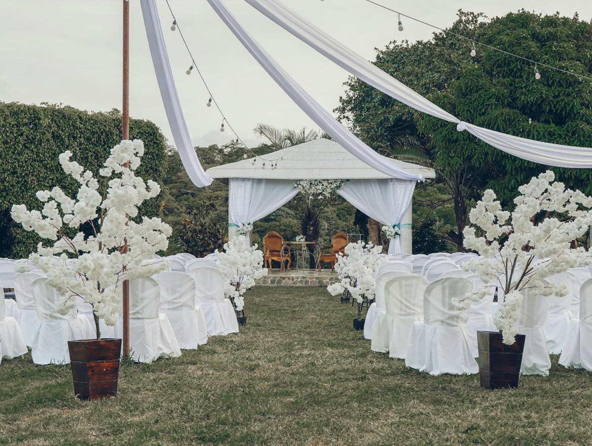 СВАДЕБНЫЙ АРТ. Y2