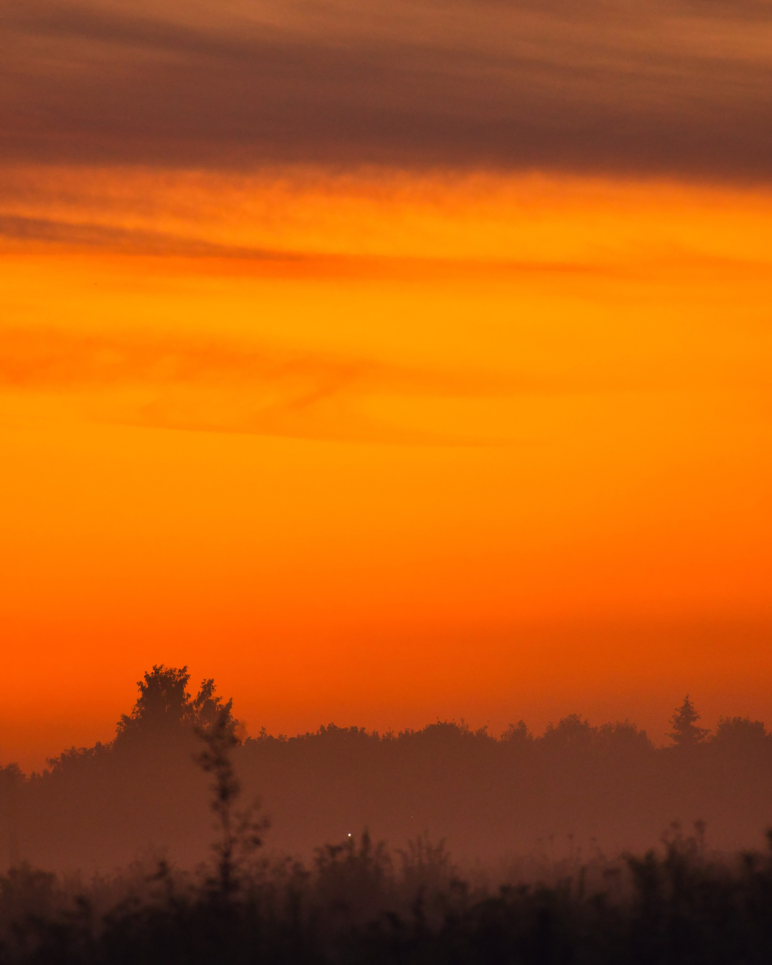 Стрит‑фото: жизнь города в кадре — реальные моменты. FM Media Сrew. Репортажные фото и видео