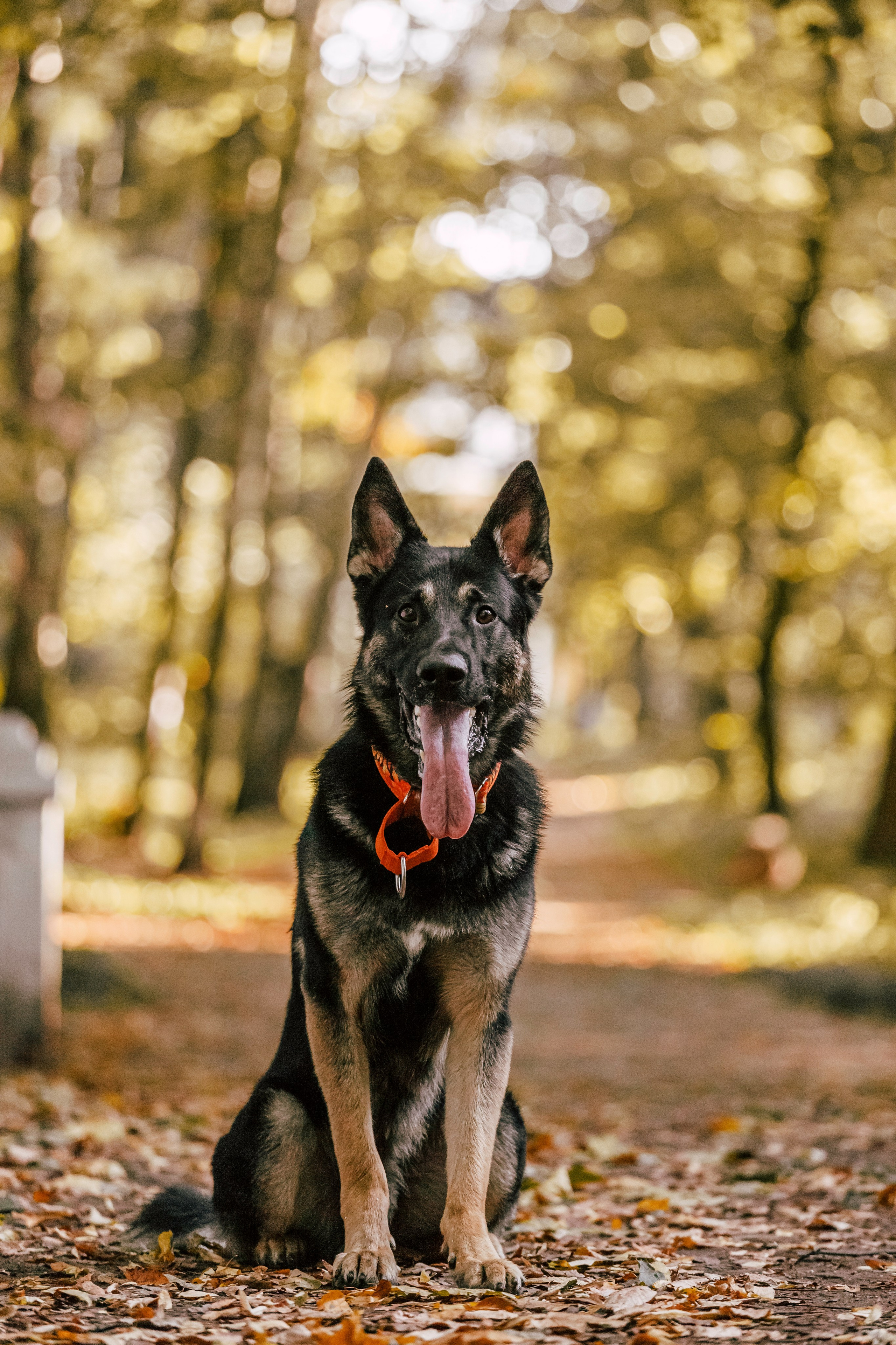 Илай. Фотограф-анималист Татьяна Степанова
