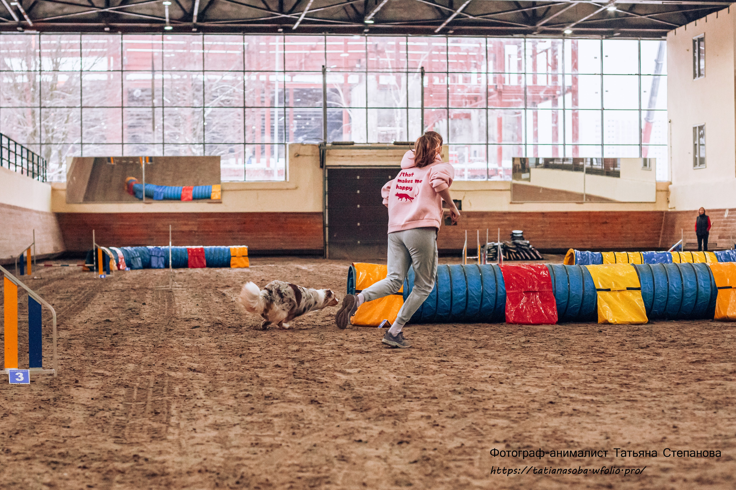 Соревнования по Аджилити 25.02.2024. Фотограф-анималист Татьяна Степанова
