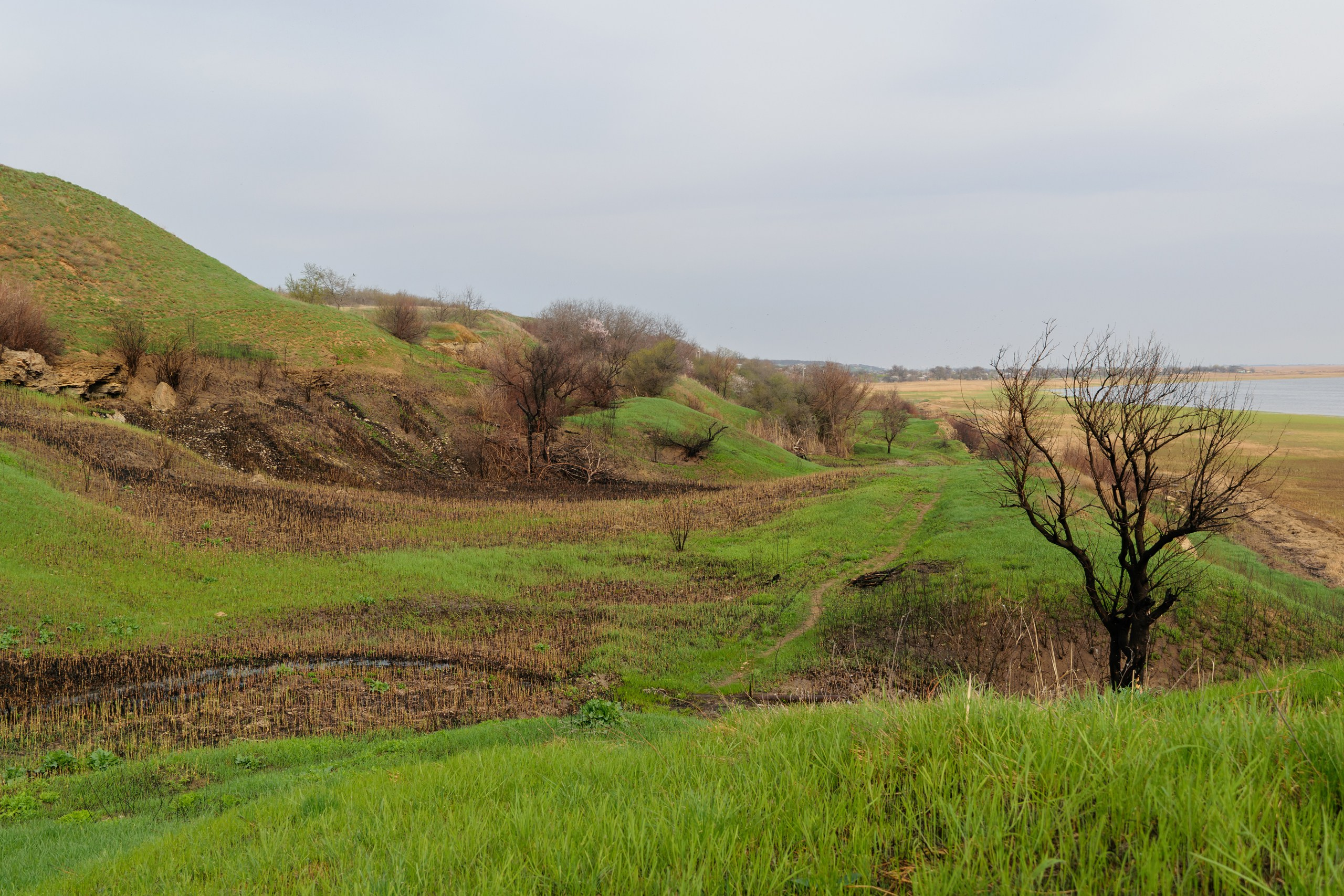 Пейзаж. ThePhenomPhoto