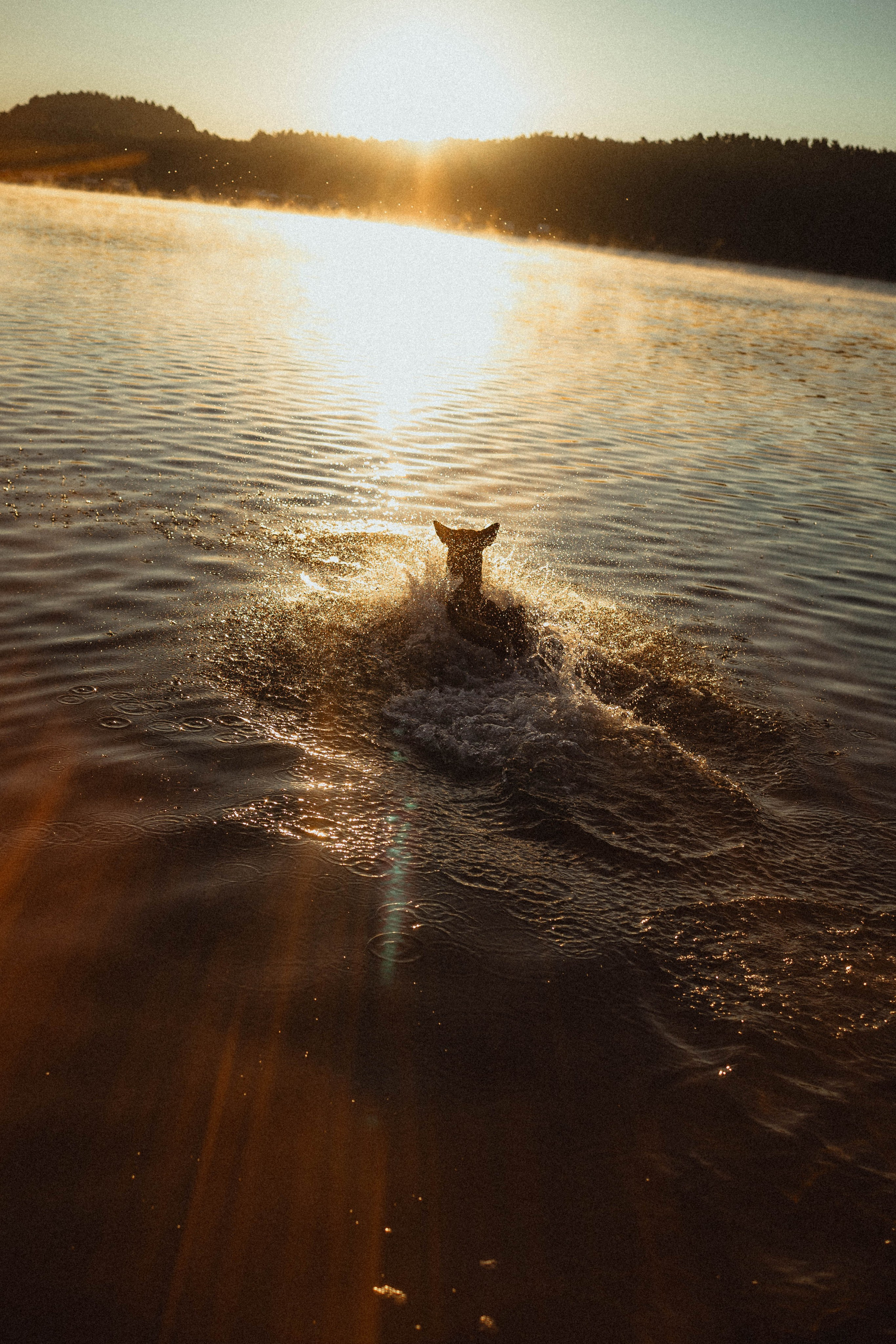 Таня, Ерш и Оллик