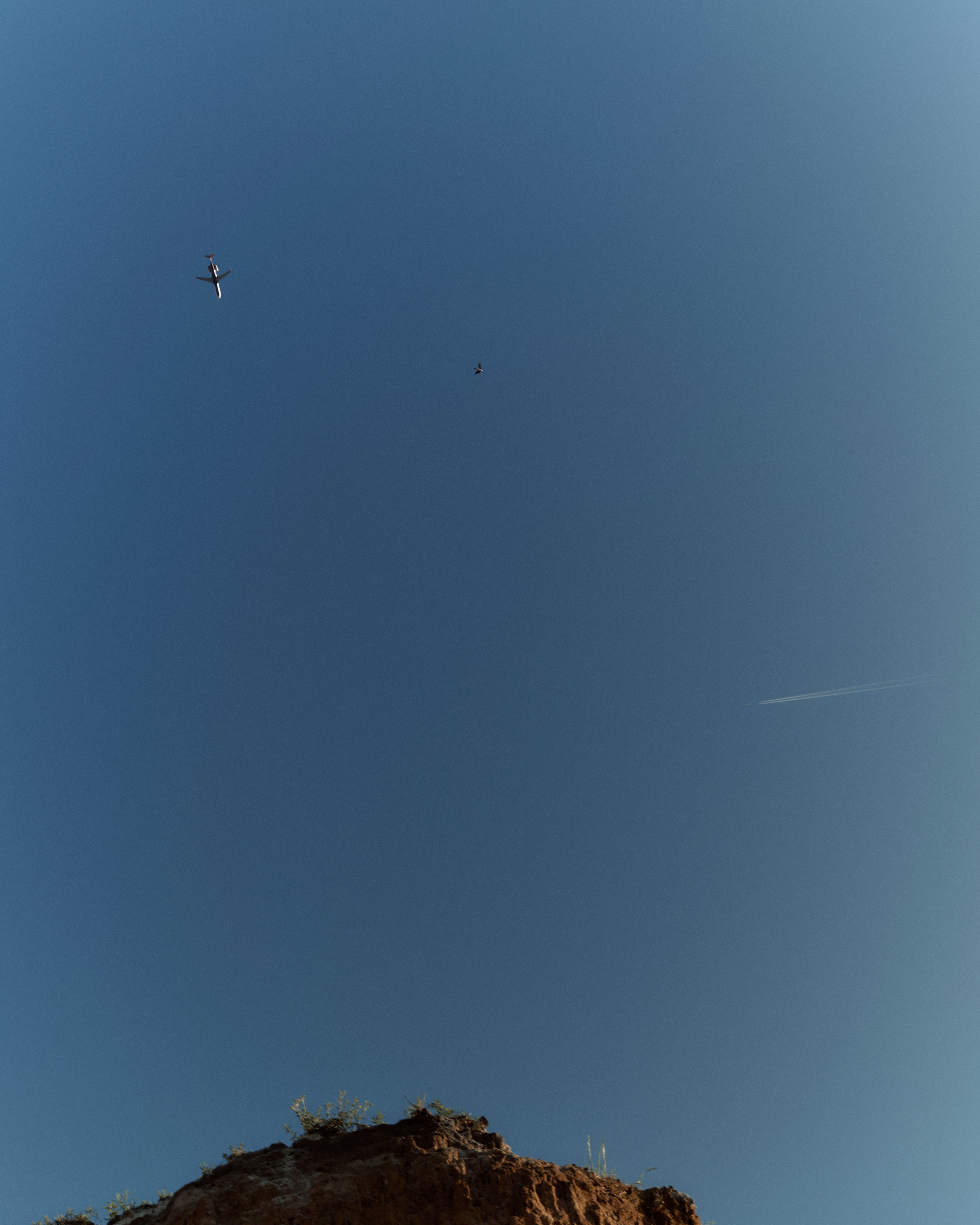 Regina. Z H U R A V L E V