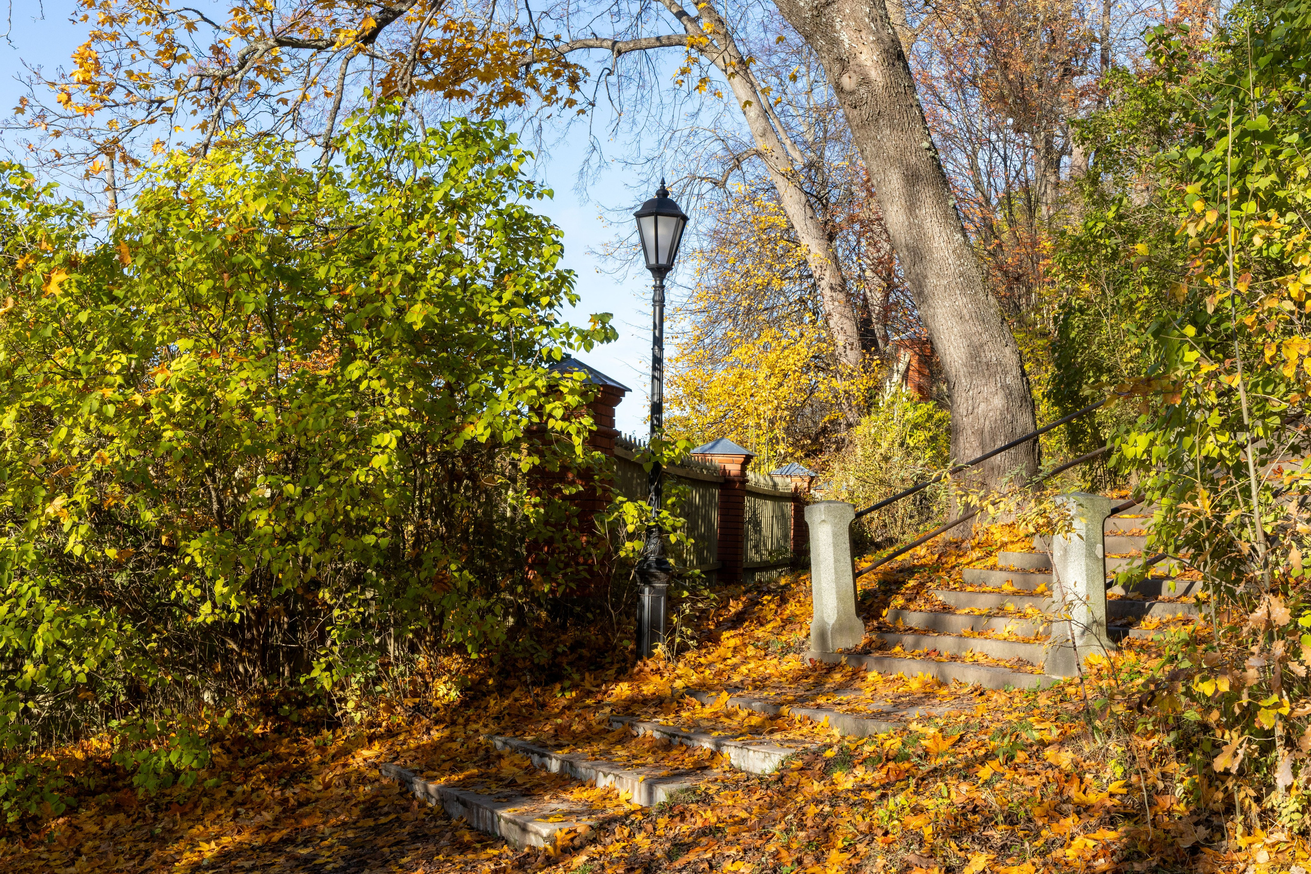 Природа Карелии октябрь 2025. Портретный и семейный фотограф Санкт-Петербург