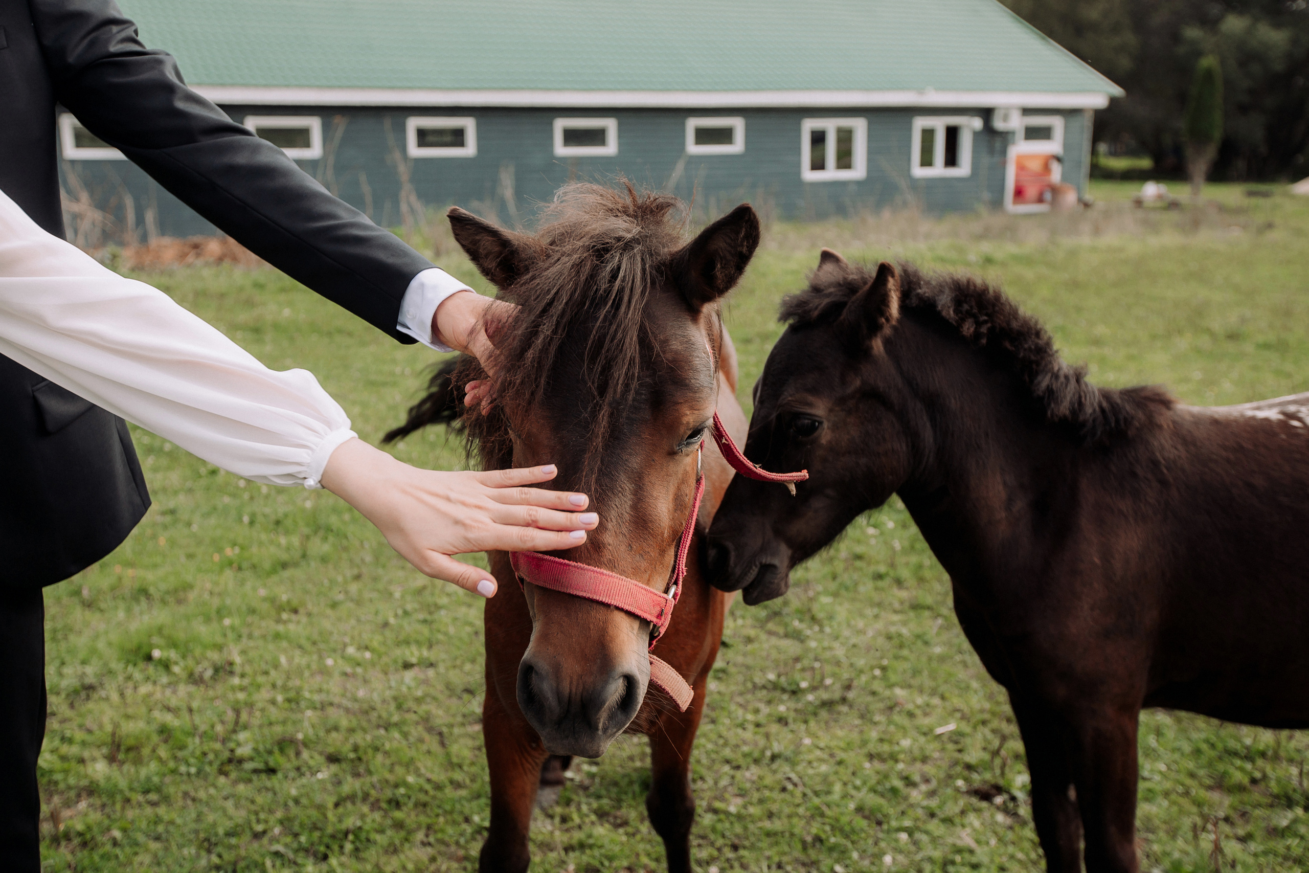 Андрей и Анна. Профессиональная видео и фото съёмка в Калуге и области