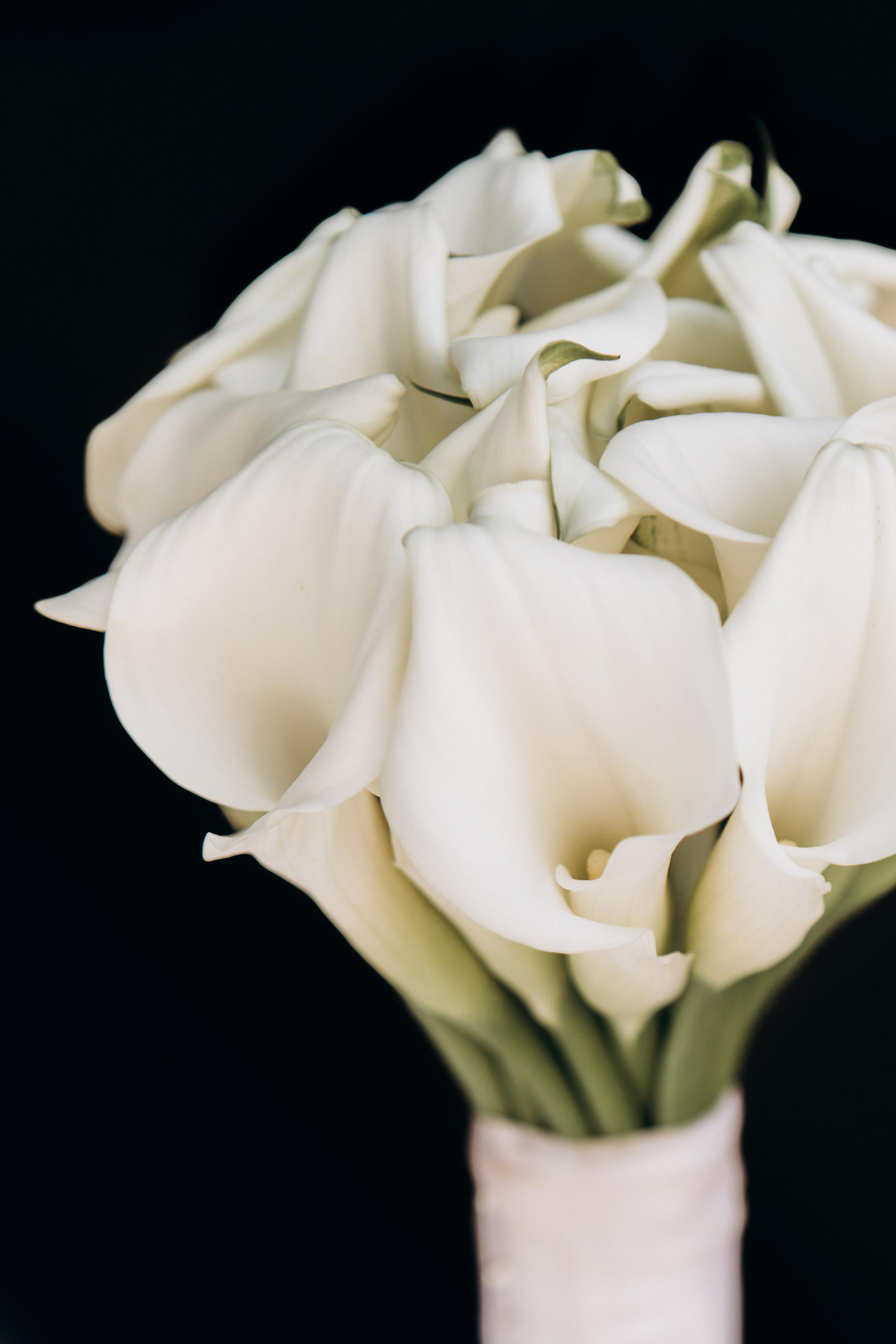 Саша и Лена. Профессиональная видео и фото съёмка в Калуге и области