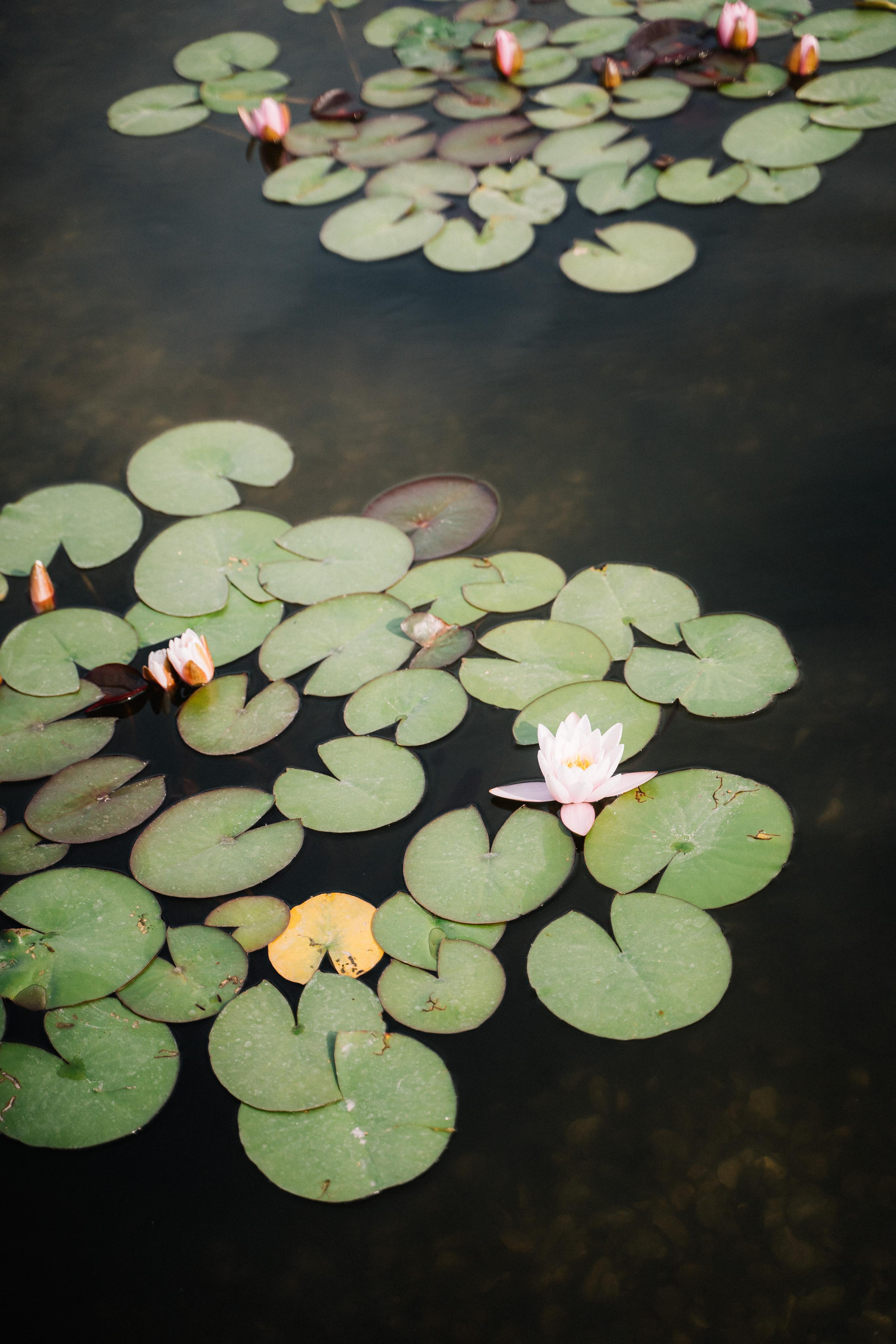 Дима и Вика. Профессиональная видео и фото съёмка в Калуге и области