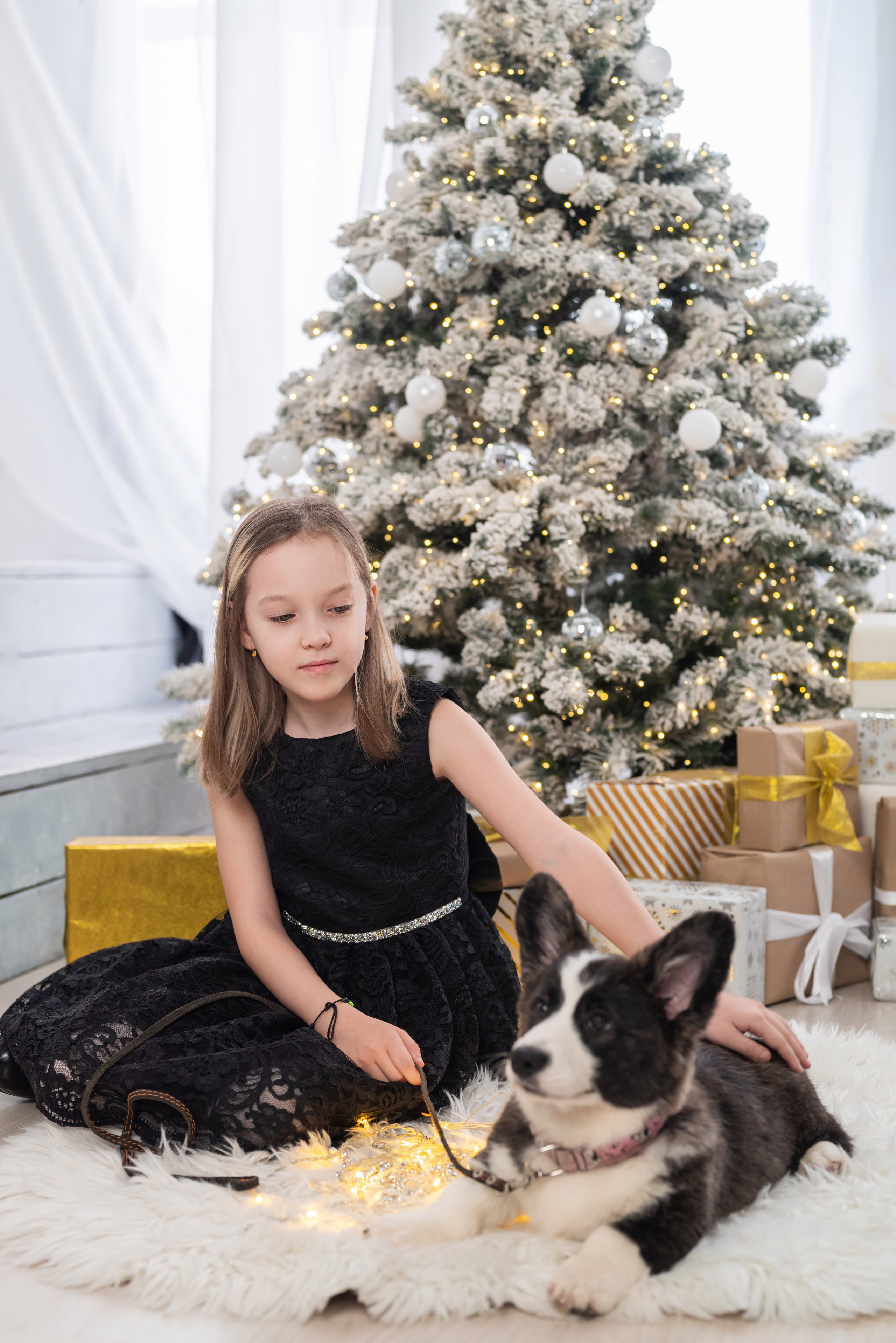 Фотопроект с корги. Фотограф в городе Салават