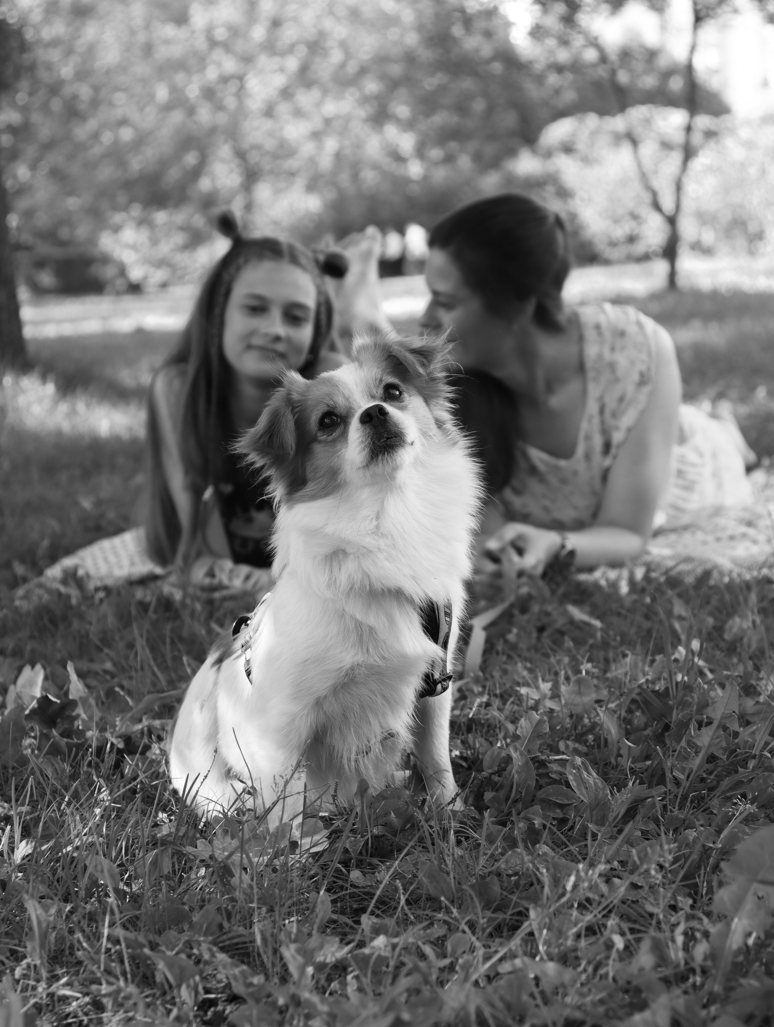 Прогулка в парке