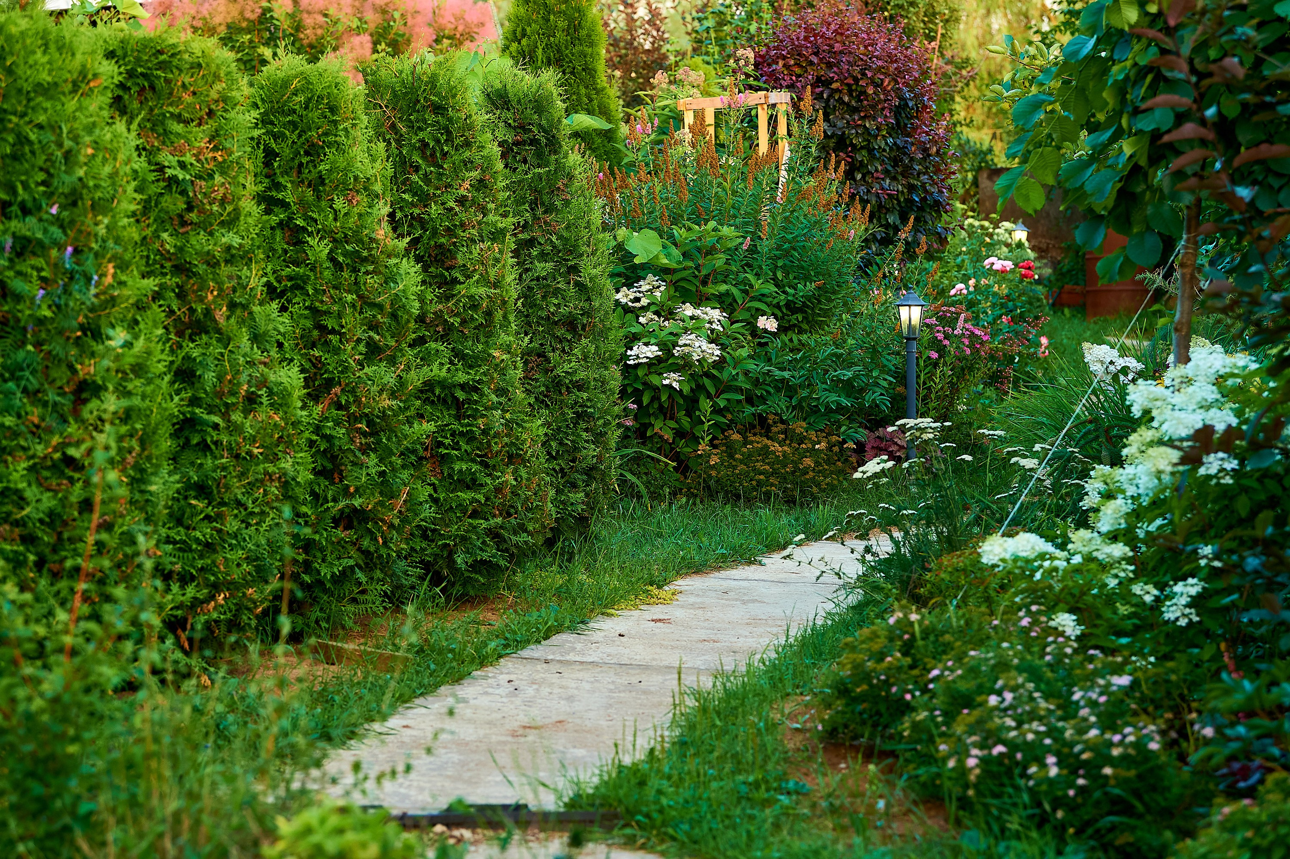 Фотосъёмка ландшафтных рабт