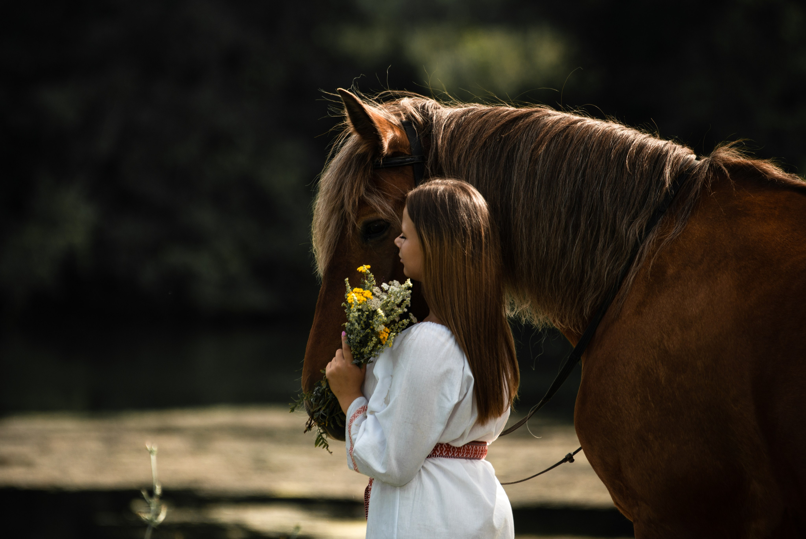 Вероника и Марта. Конный фотограф в Саратове Юлия Иванова