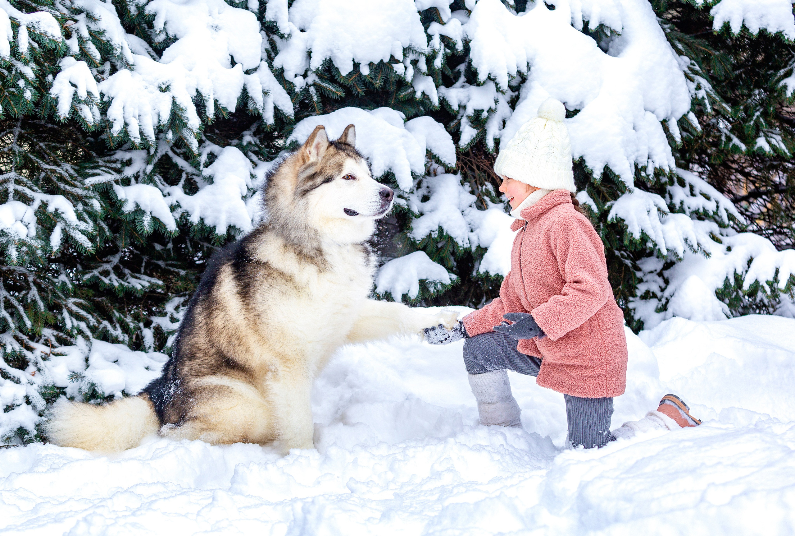 Саша и Феня. Репортажный фотограф в Москве