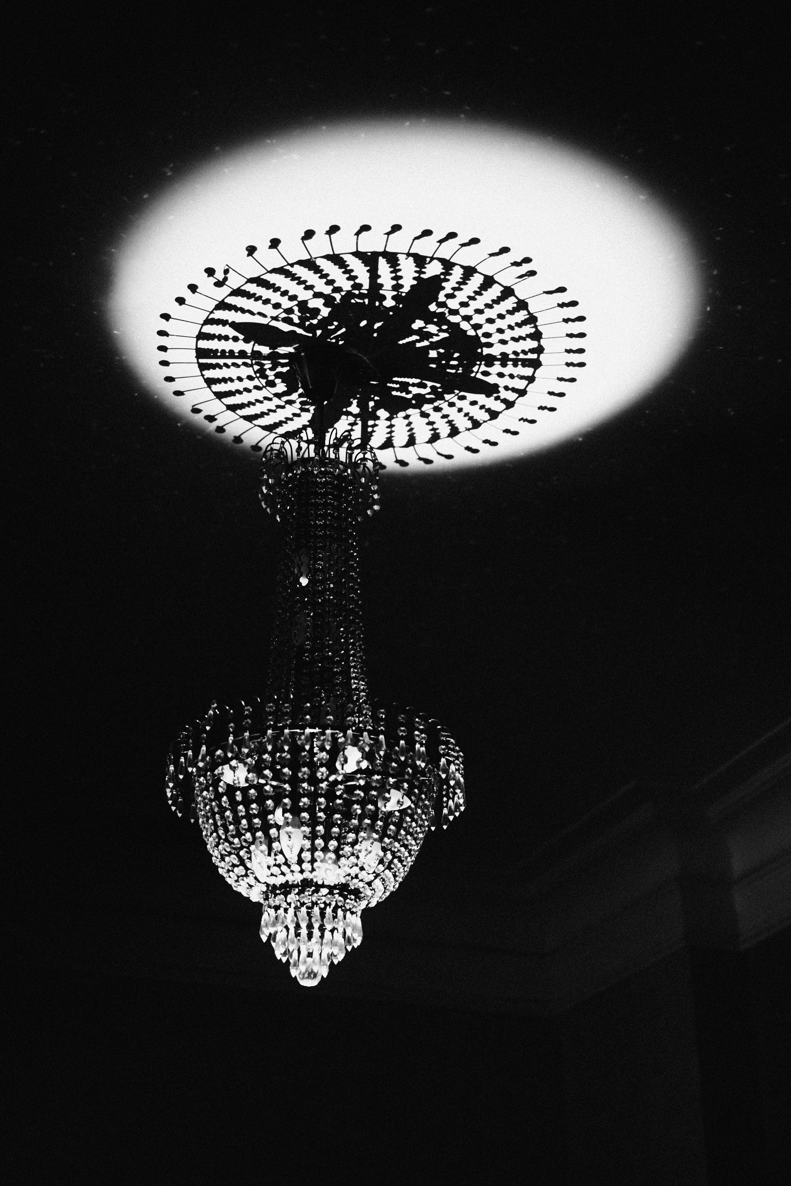 ТЮЗ. Veronika Popadeikina Photographer