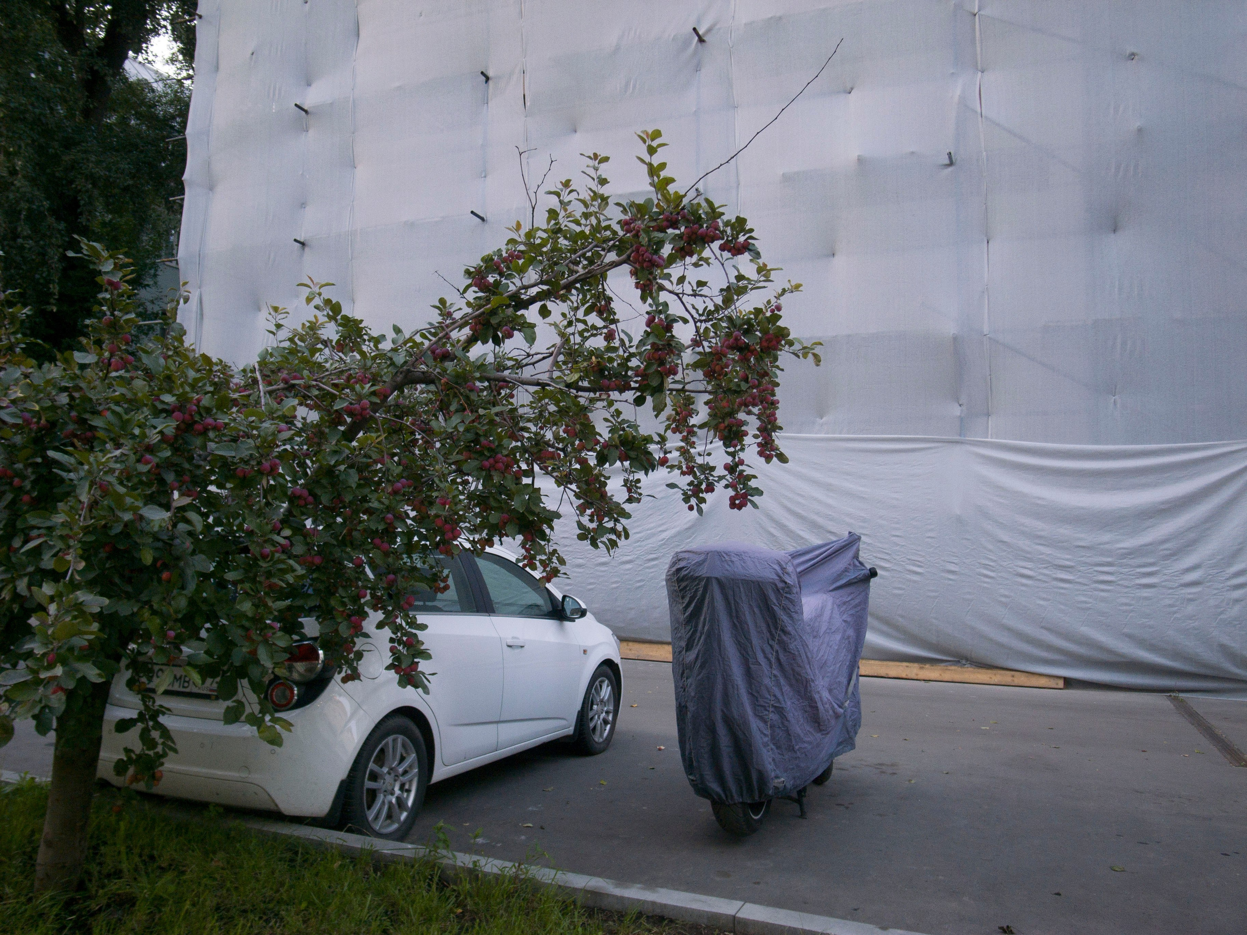 Street. Фотограф, в Ростове-на-дону