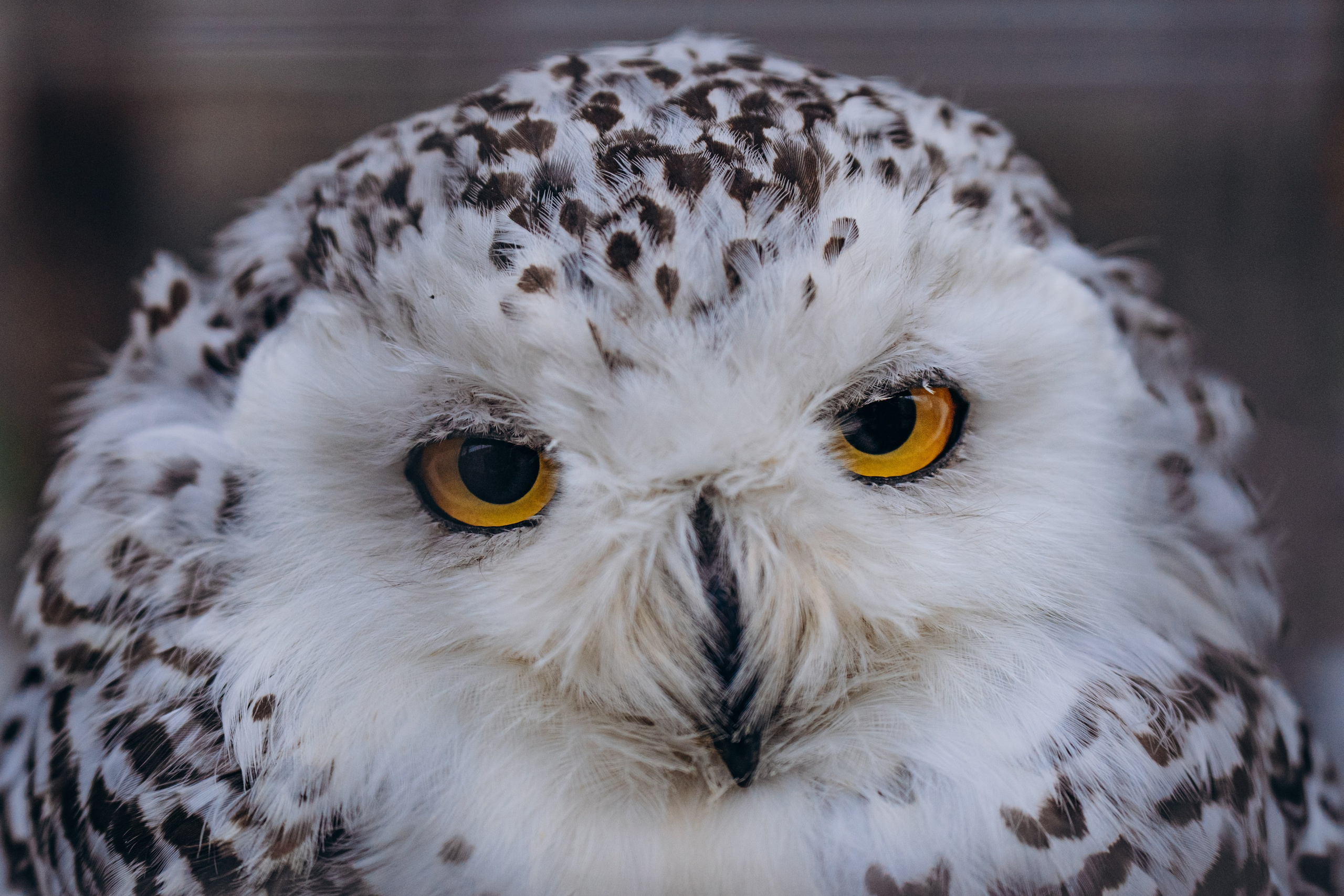 СЕВЕР. Event фотограф Степанова Александра