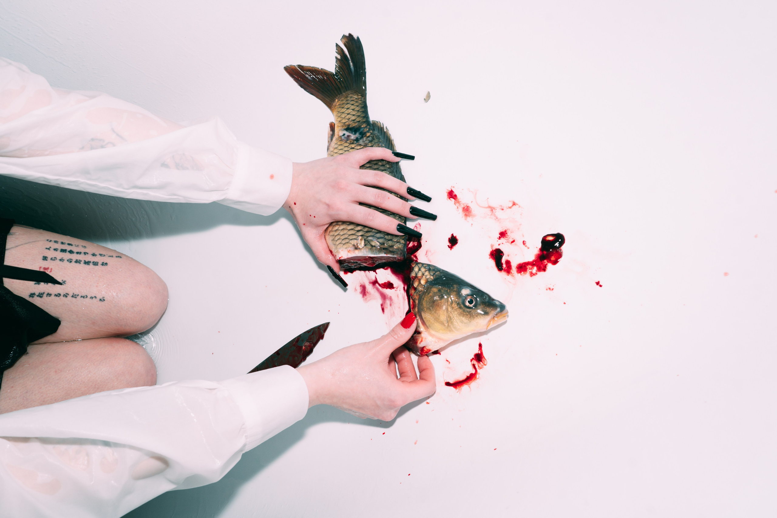 Carp Grisha. Sasha Speranskii — Conceptual Photographer | Based in Moscow