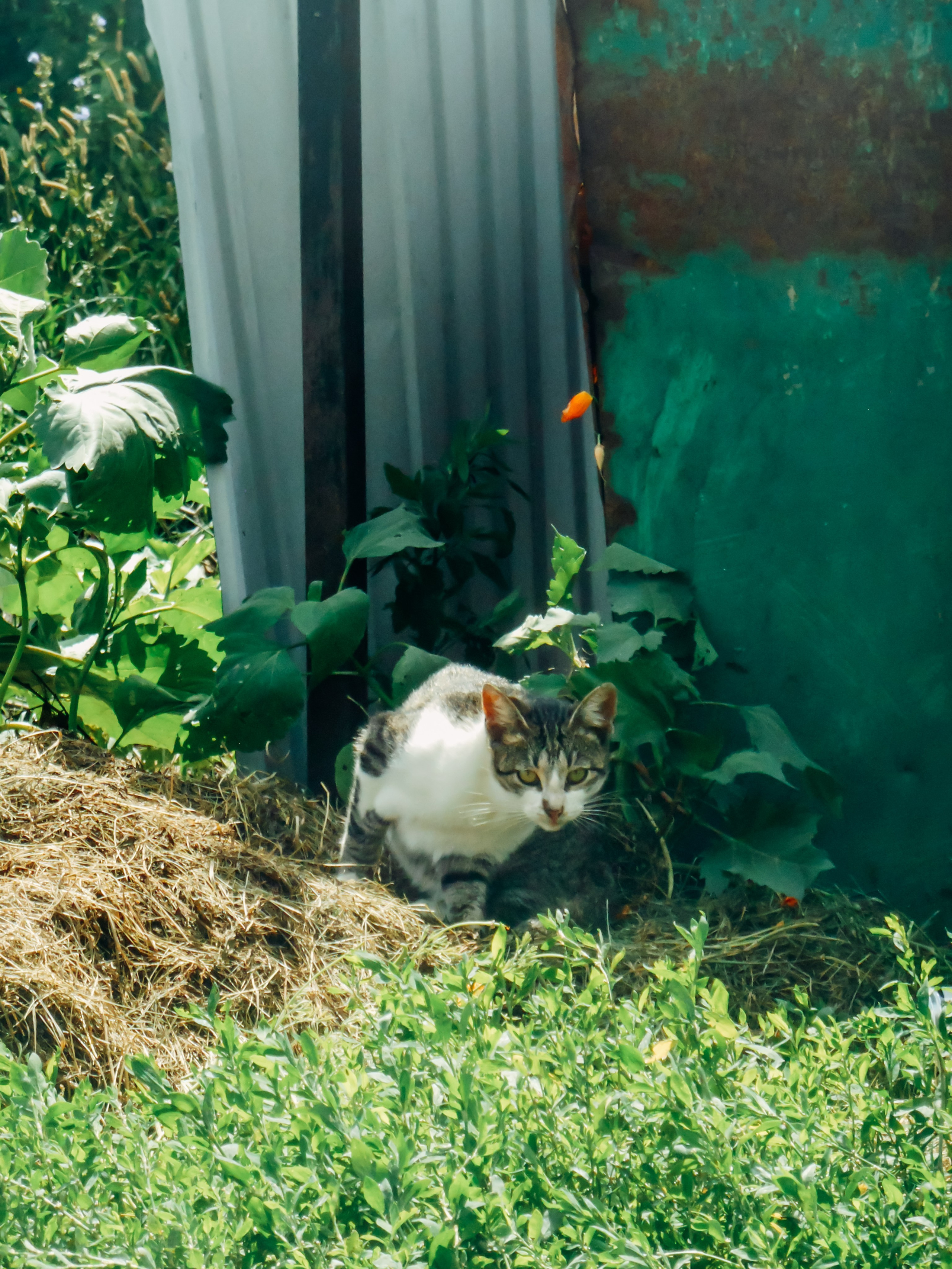 Воронеж. Репортажный и портретный фотограф в Липецкой, Воронежской, Московской области Тёма Белоусов