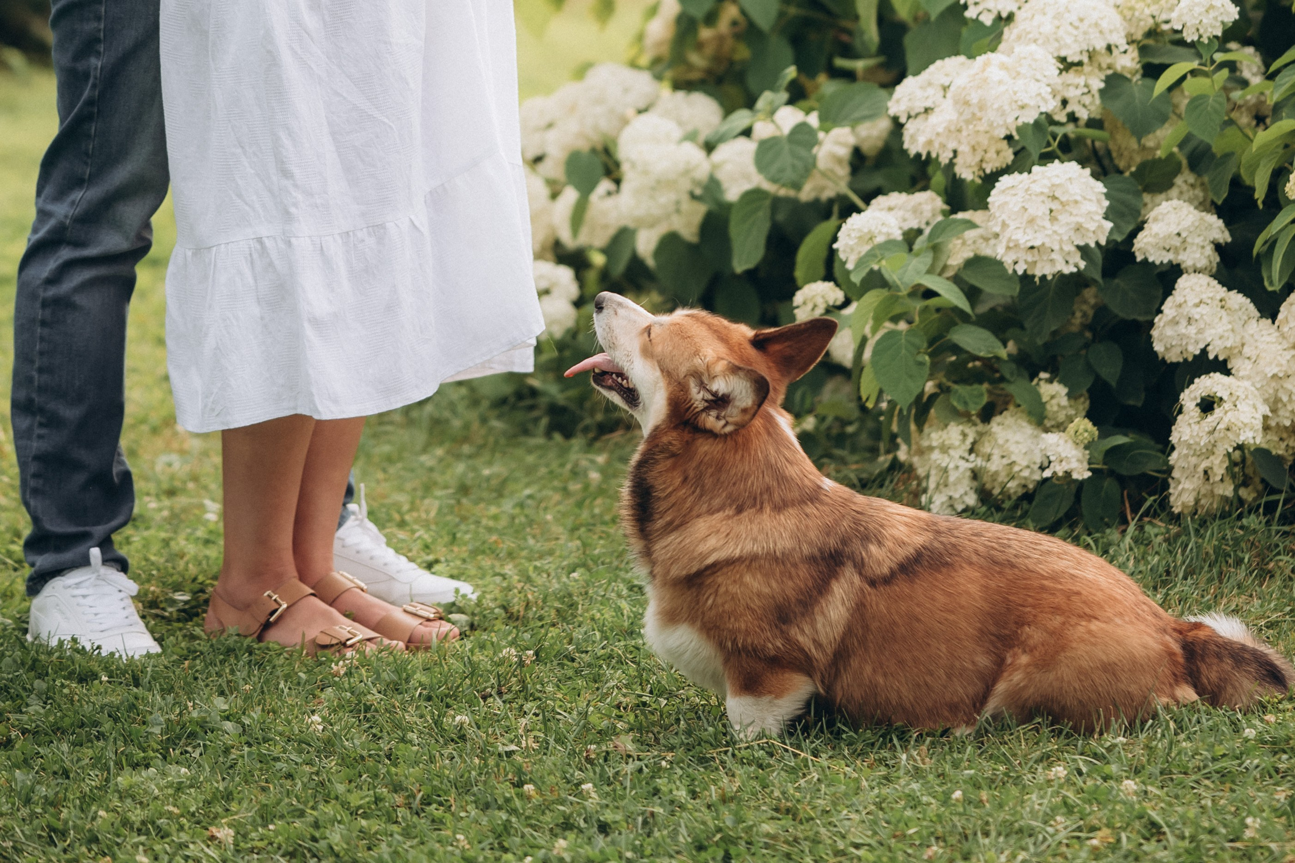 Прогулка в Ботаническом саду. Кристина Ветрова | ФОТОГРАФ | Москва