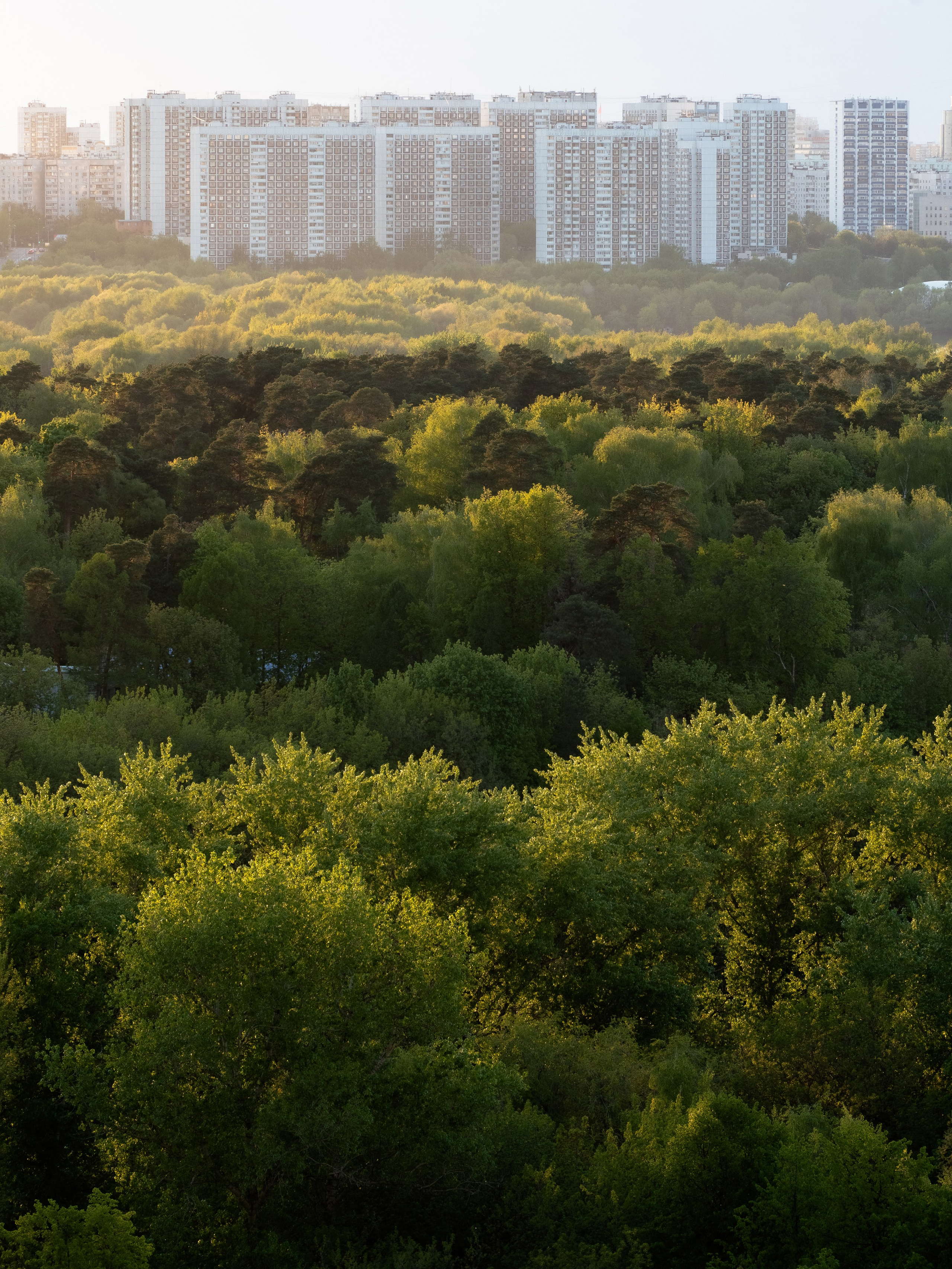 Москва панельная. Эд Тихонов. Городской фотограф