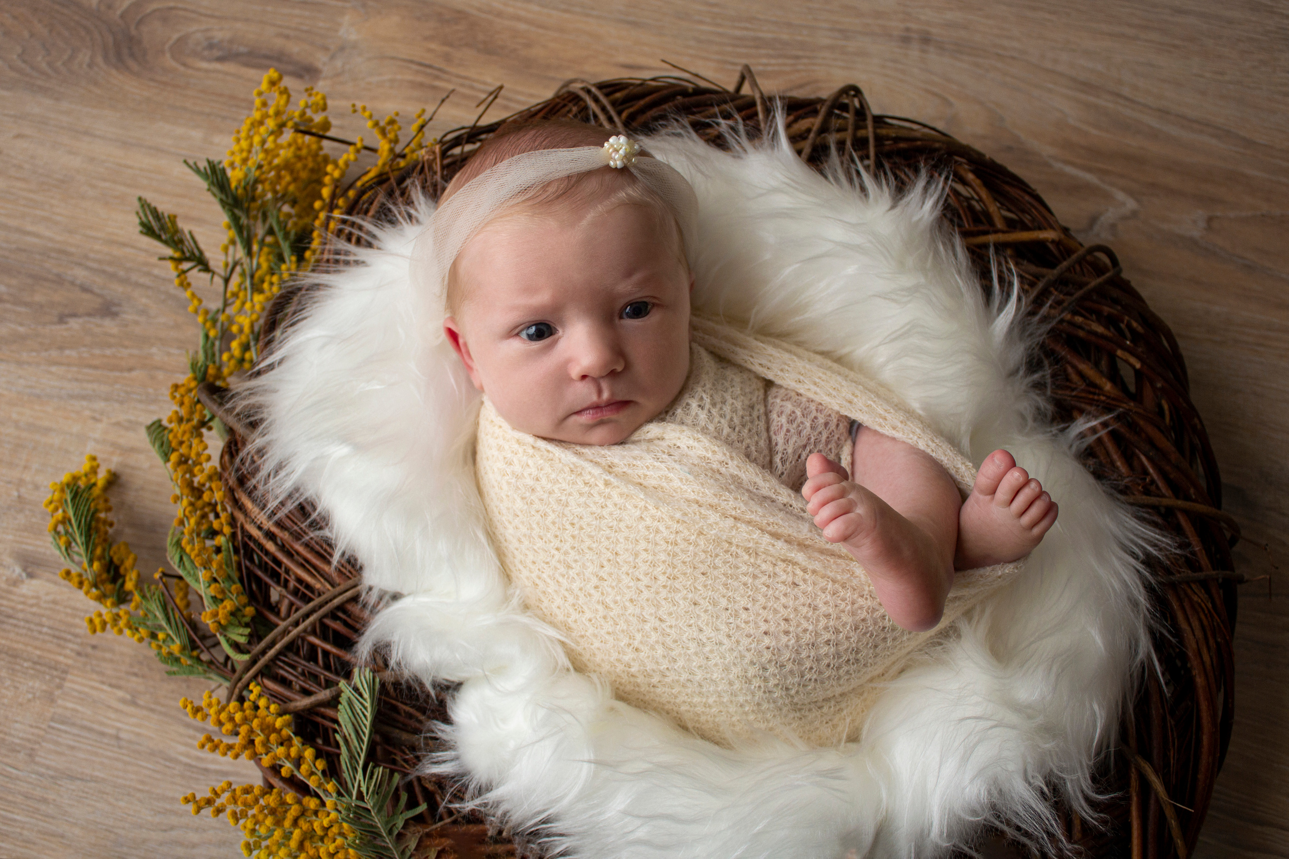 Элина, 20 дней. Фотограф новорожденных в Нижнем Новгороде Надежда Кадылкина
