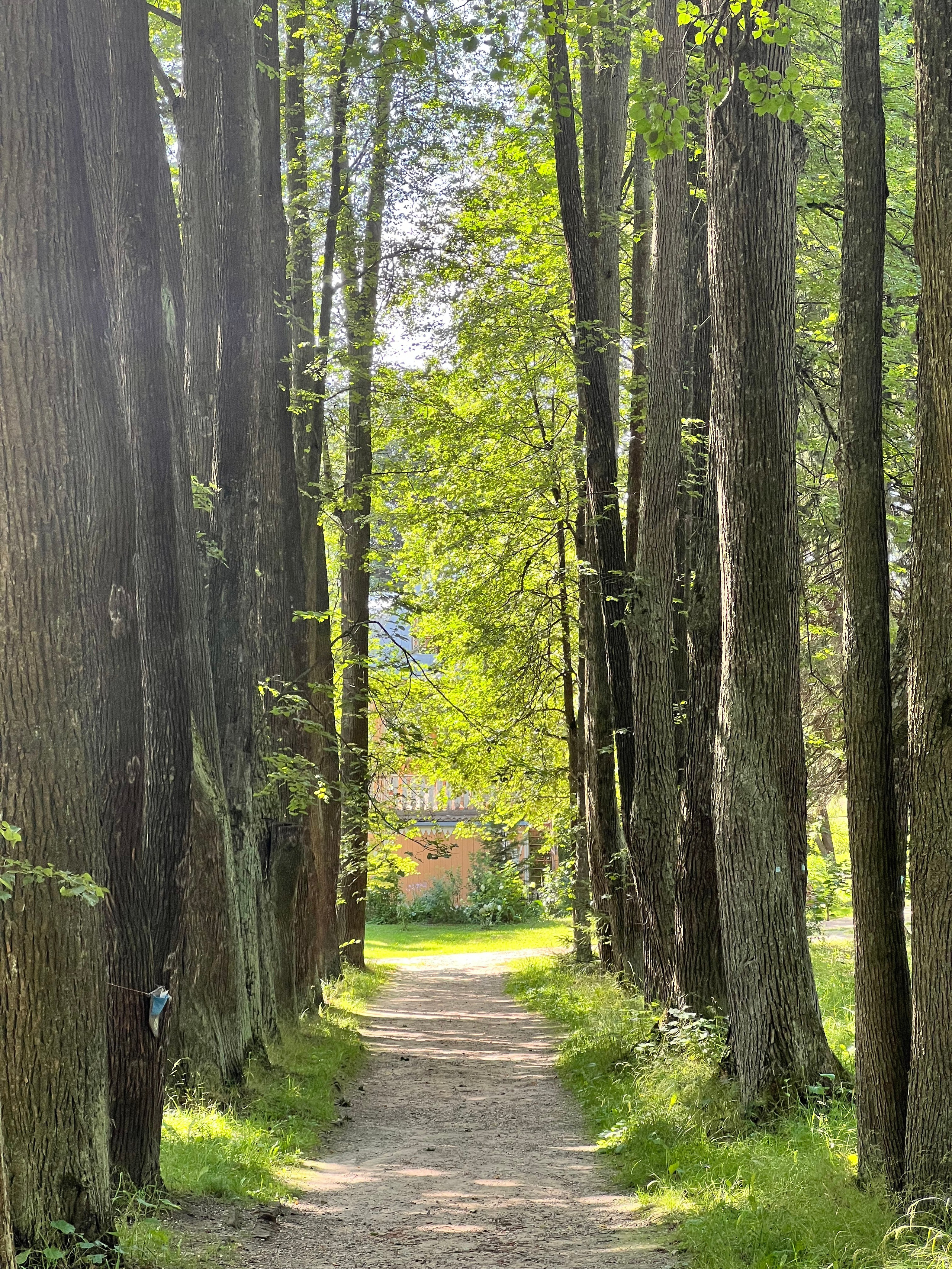 Радонежье. Путешествия со смыслом